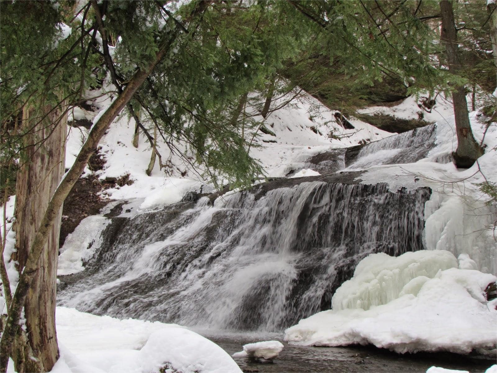 secrets-of-mcconnells-mills-hidden-forest-hollows