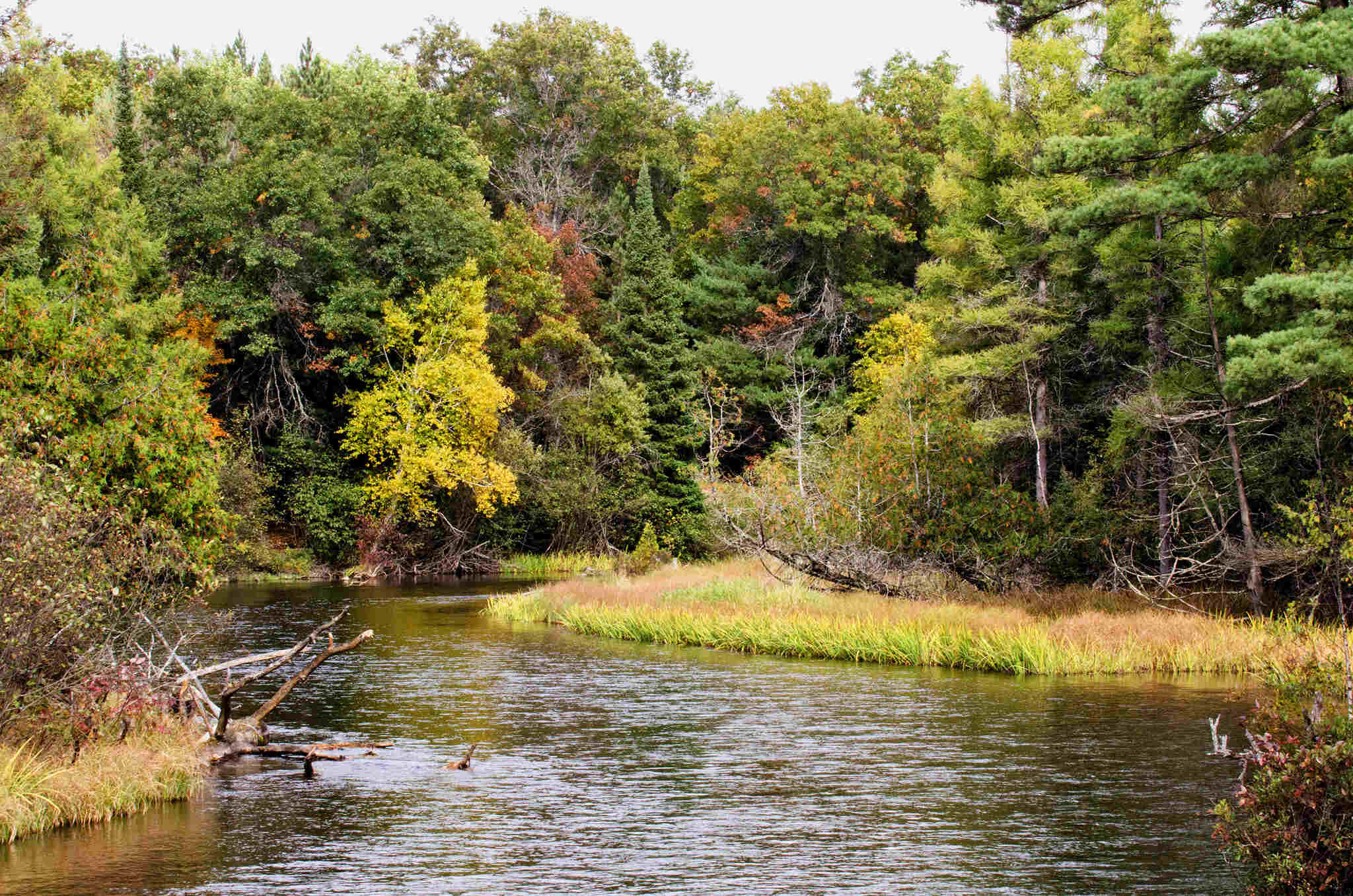 Secrets-Of-Michigan8217s-Au-Sable-River-Logging-Camps secrets-of-michigans-au-sable-river-logging-camps