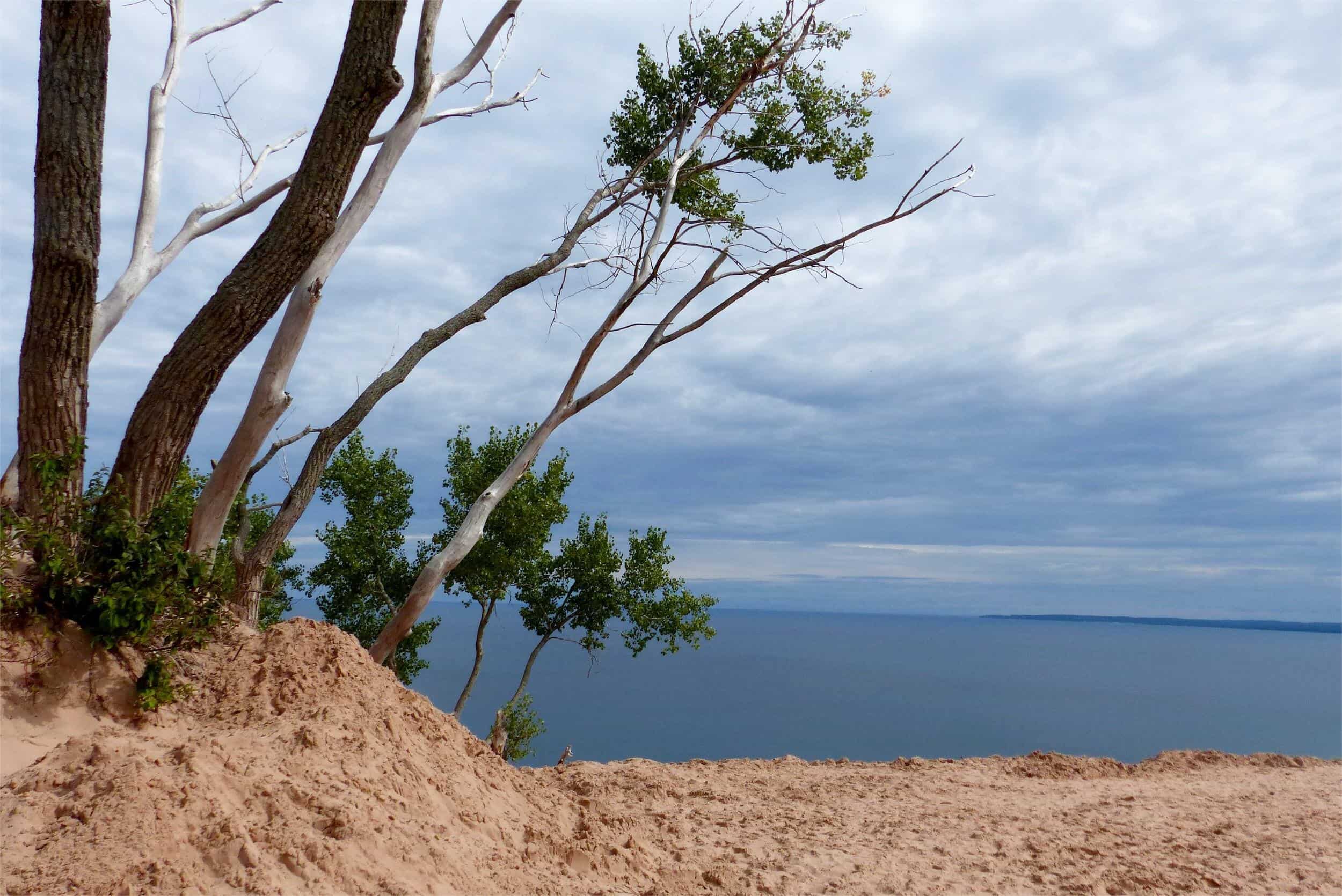 Secrets-Of-Michigan8217s-Coastal-Dune-Forests secrets-of-michigans-coastal-dune-forests