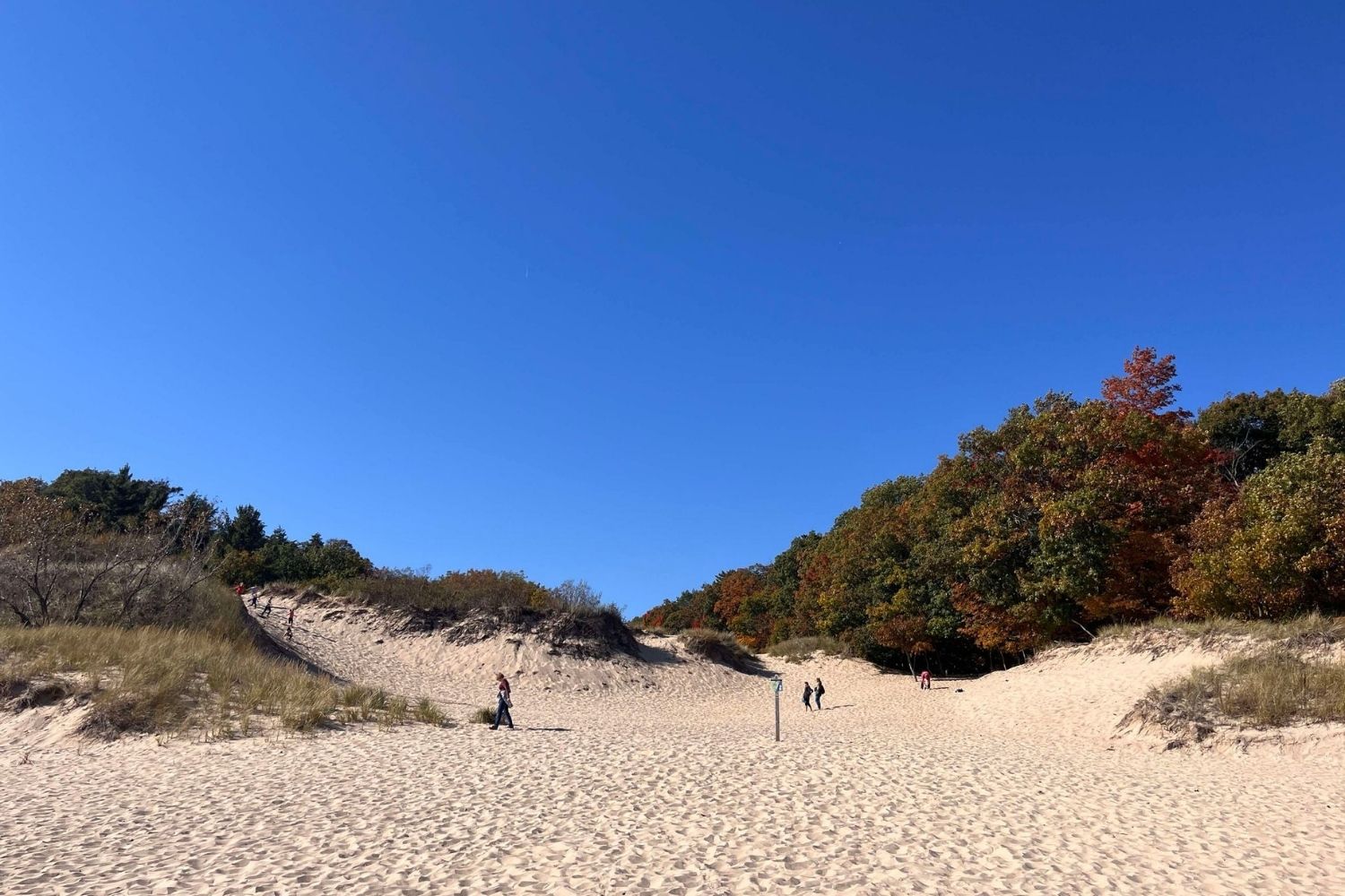 secrets-of-michigans-hoffmaster-state-park-dunes