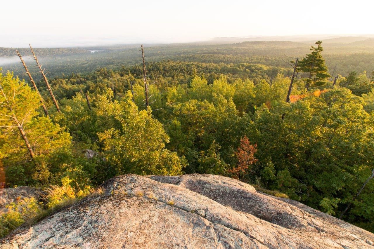 Secrets-Of-Michigan8217s-Huron-Mountains-Beech-Forests secrets-of-michigans-huron-mountains-beech-forests