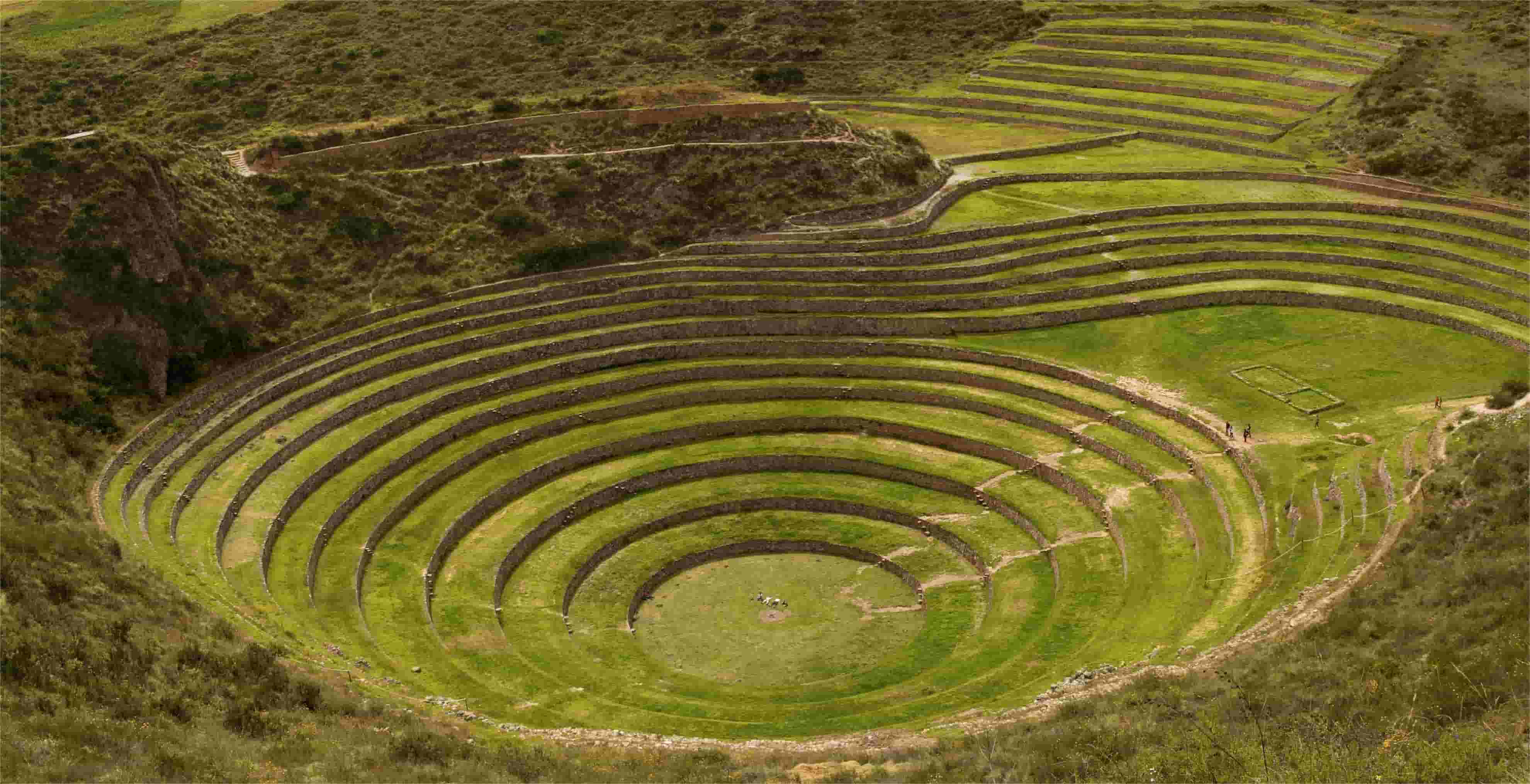 secrets-of-mimbres-valleys-ancient-agricultural-terraces