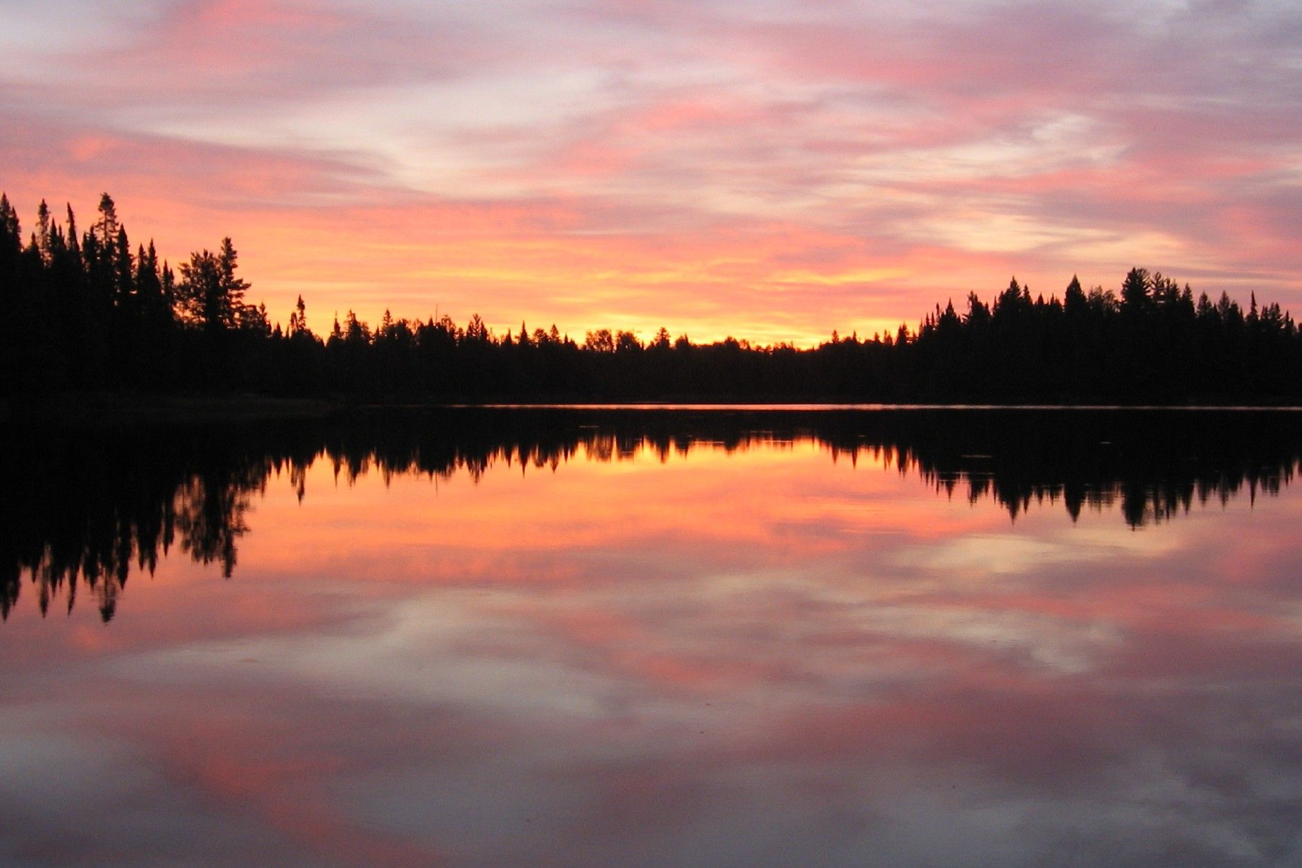 Secrets-Of-Minnesota8217s-Boundary-Waters-Bogs secrets-of-minnesotas-boundary-waters-bogs