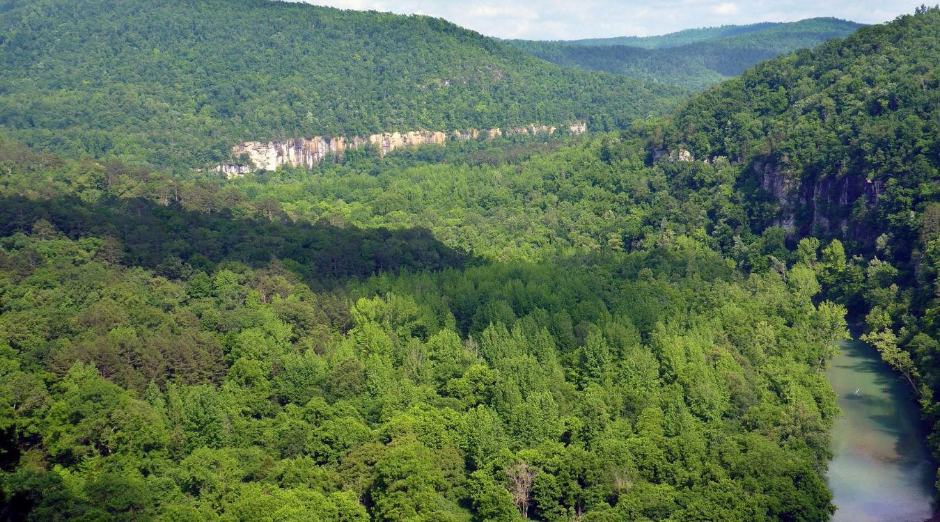 Secrets-Of-Missouri8217s-Ozark-Grape-Forests secrets-of-missouris-ozark-grape-forests