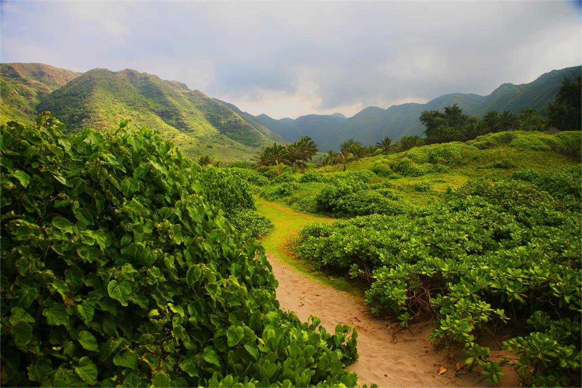 Secrets-Of-Molokai8217s-Ancient-Agricultural-Fields secrets-of-molokais-ancient-agricultural-fields