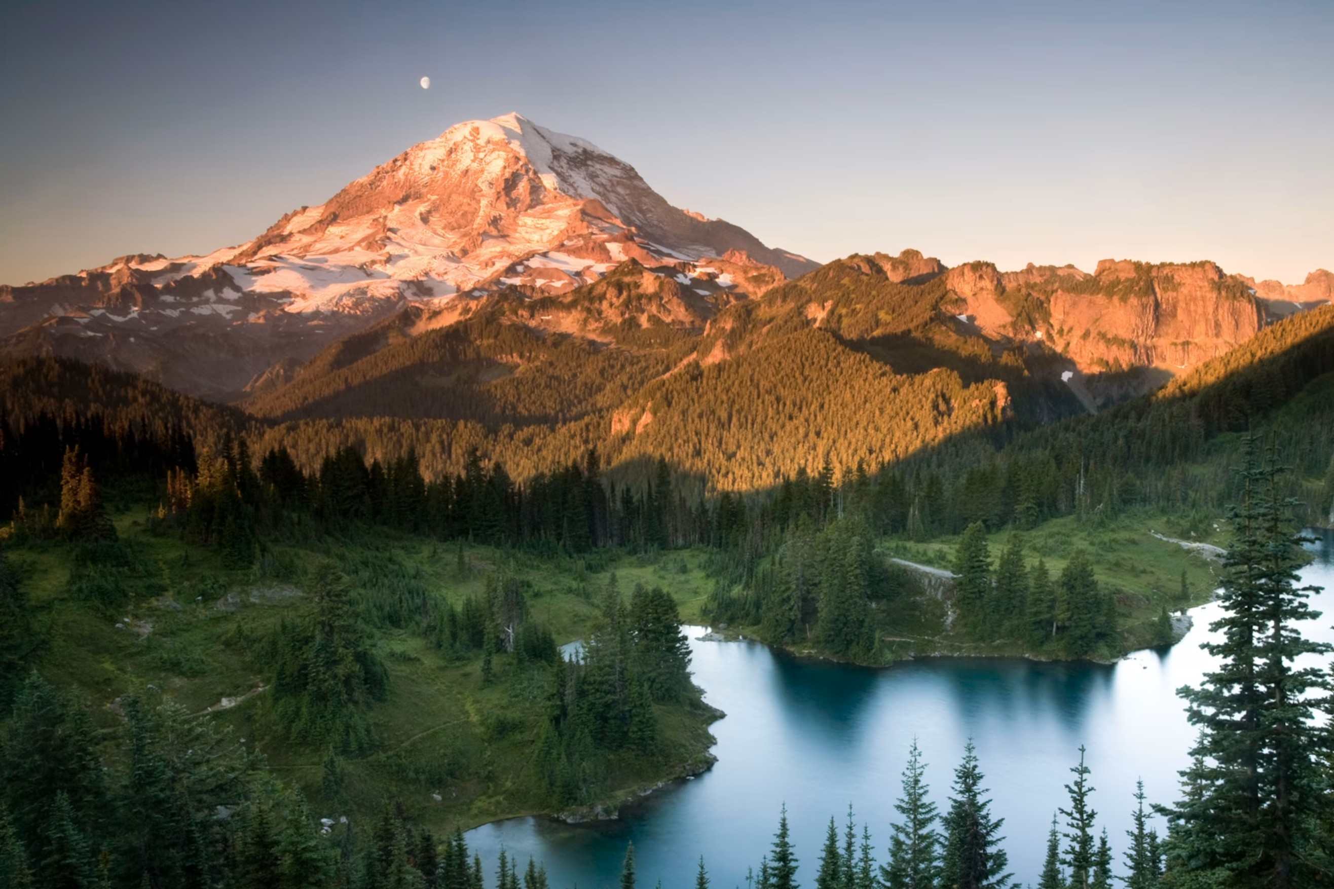 Secrets-Of-Mount-Rainier8217s-Ancient-Forest-Groves secrets-of-mount-rainiers-ancient-forest-groves
