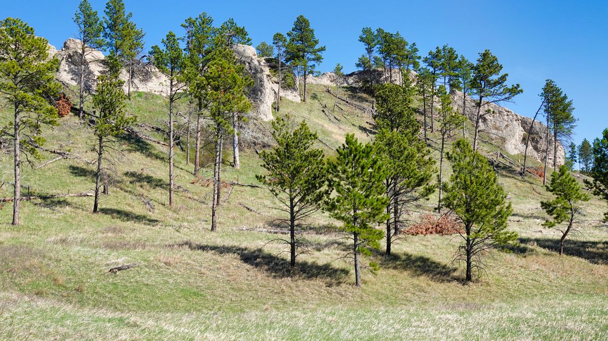 Secrets-Of-Nebraska8217s-Pine-Ridge-Settlements secrets-of-nebraskas-pine-ridge-settlements