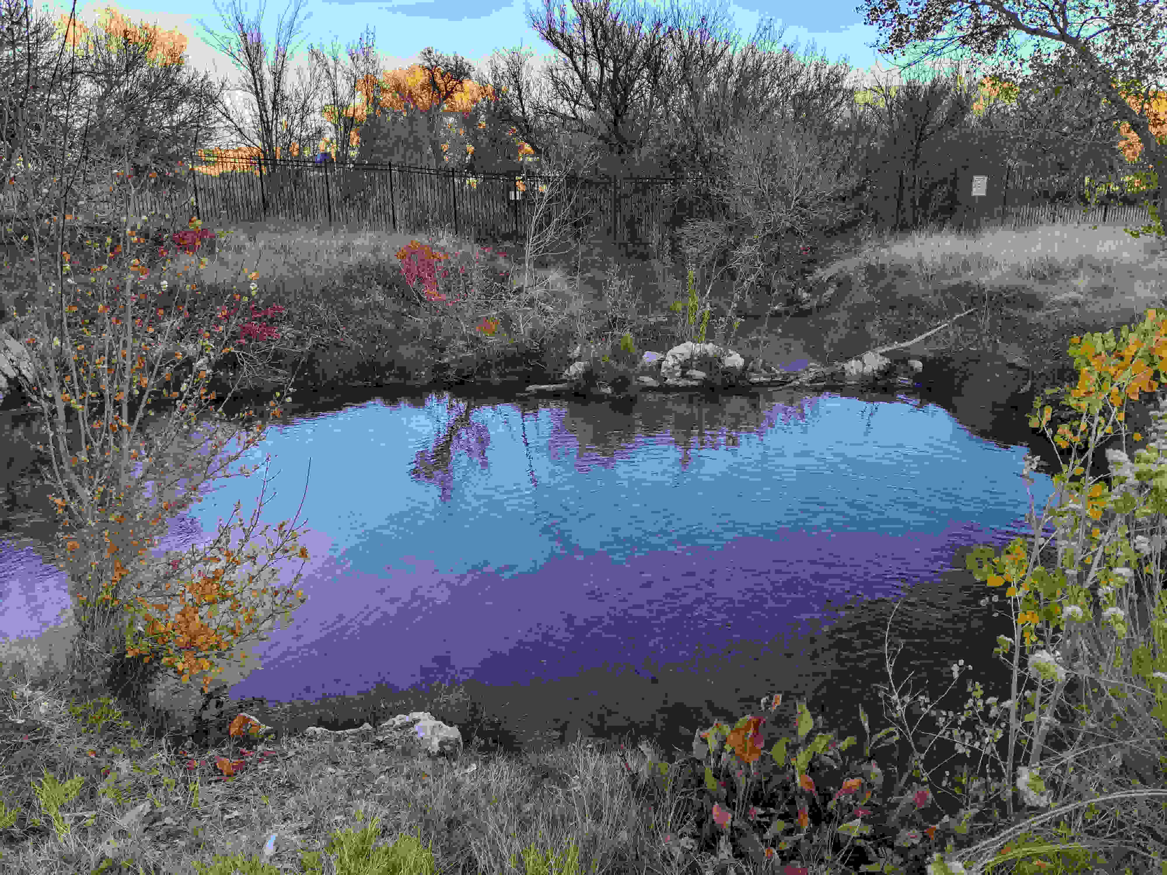 secrets-of-nevadas-ash-springs