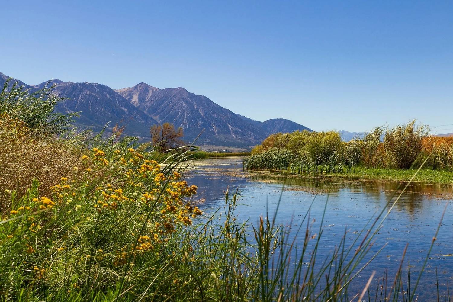 secrets-of-nevadas-great-basin-mining-towns