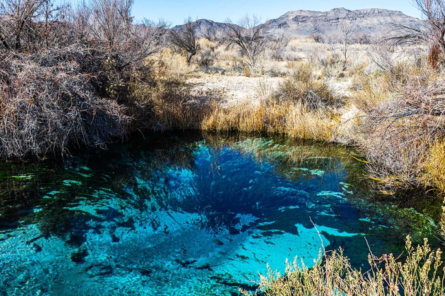 Secrets-Of-Nevada8217s-Monitor-Valley-Springs secrets-of-nevadas-monitor-valley-springs