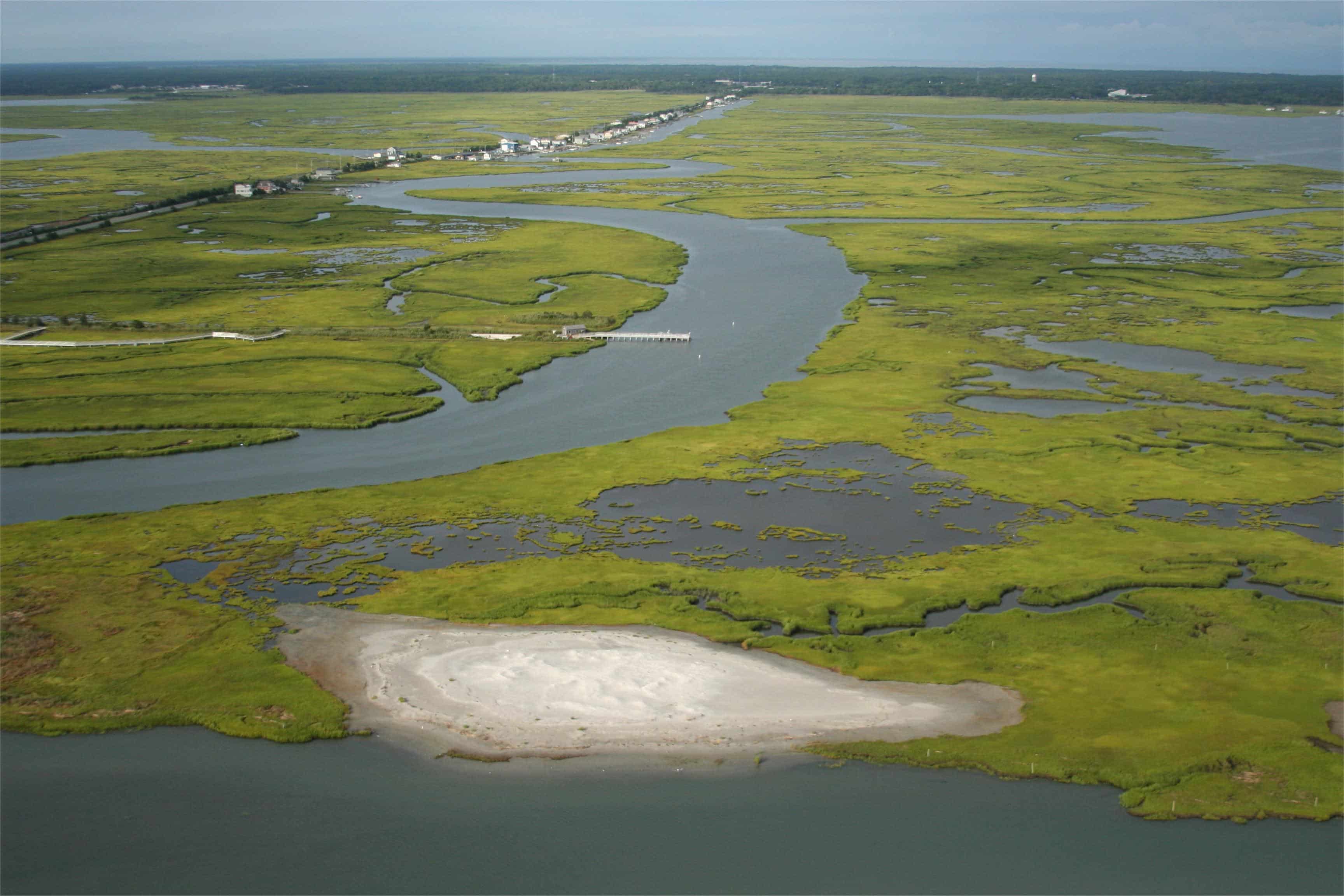 Secrets-Of-New-Jersey8217s-Coastal-Marshes secrets-of-new-jerseys-coastal-marshes