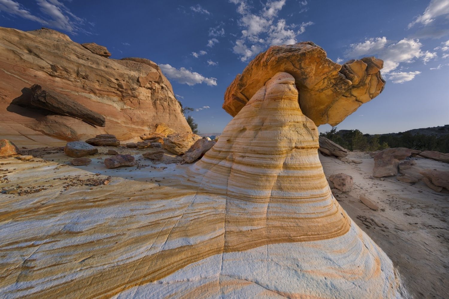 secrets-of-new-mexicos-ojito-wilderness-canyons