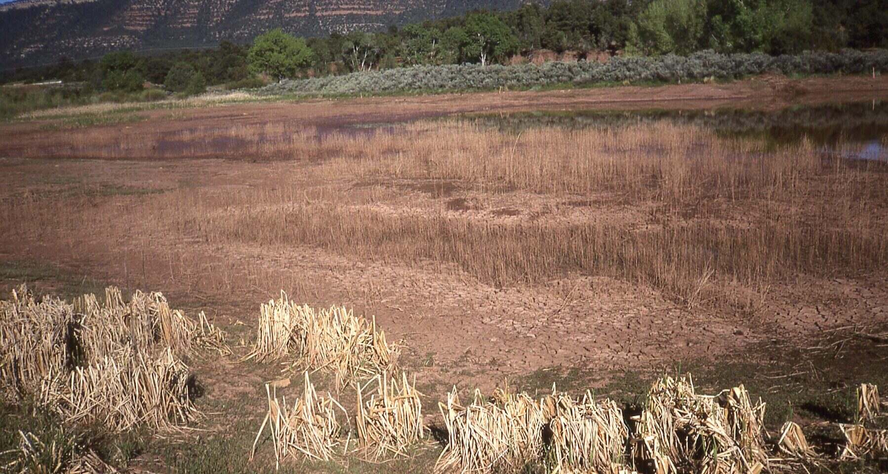 Secrets-Of-New-Mexico8217s-Pecos-Agricultural-Terraces secrets-of-new-mexicos-pecos-agricultural-terraces