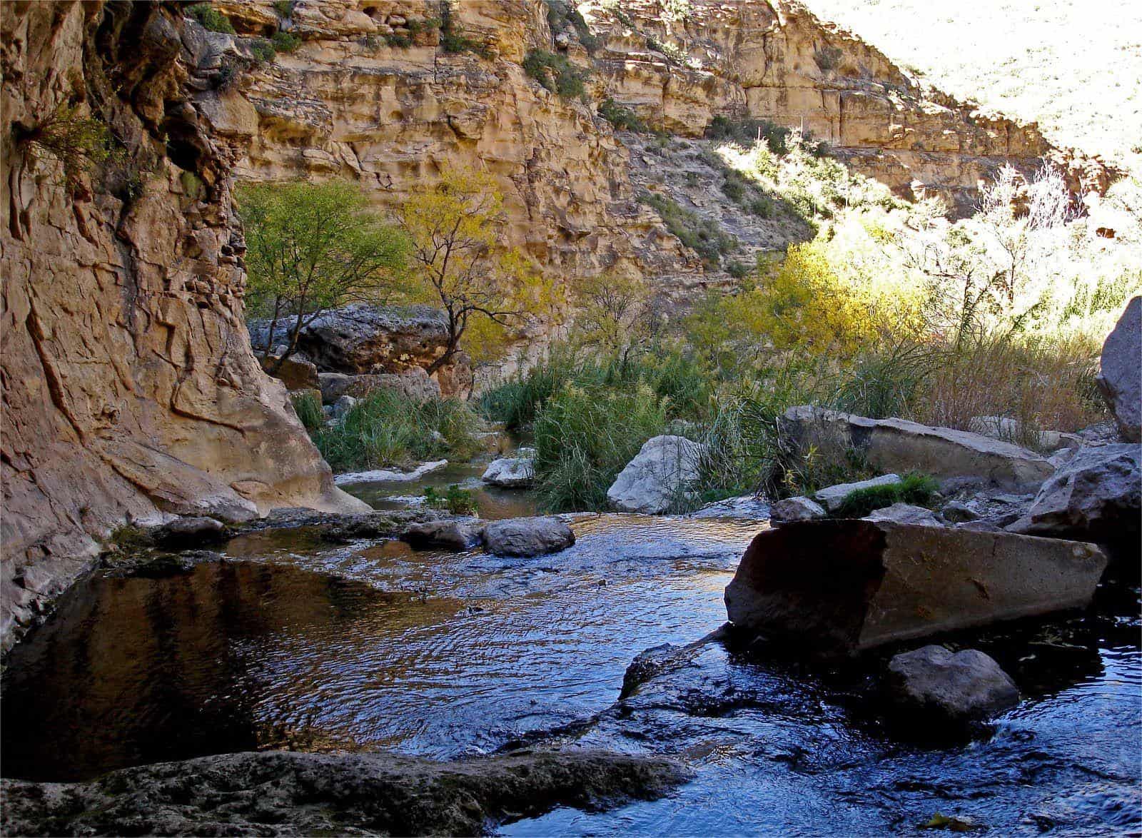 Secrets-Of-New-Mexico8217s-Sitting-Bull-Falls-Oases secrets-of-new-mexicos-sitting-bull-falls-oases