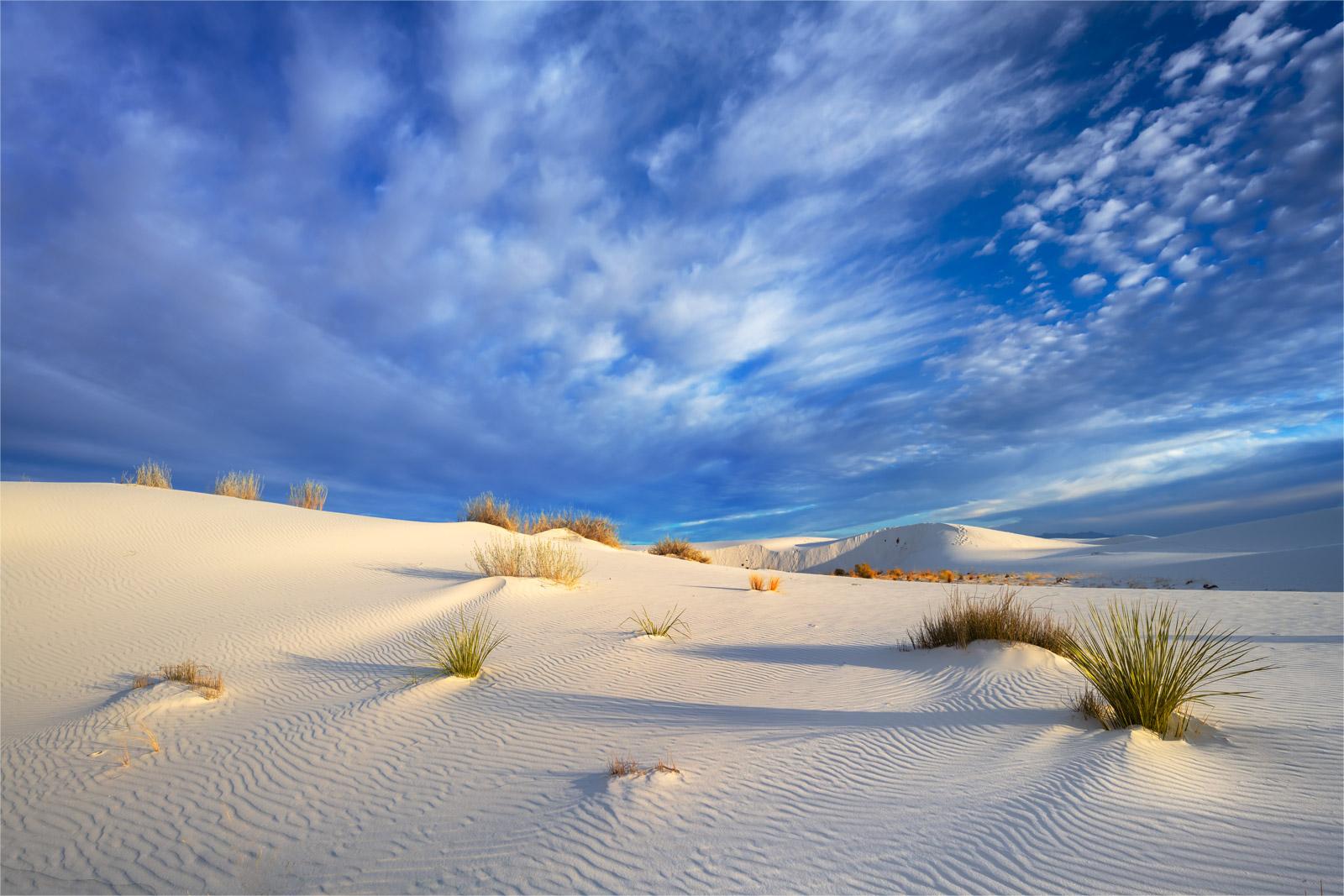 Secrets-Of-New-Mexico8217s-Translucent-Desert-Dunes secrets-of-new-mexicos-translucent-desert-dunes