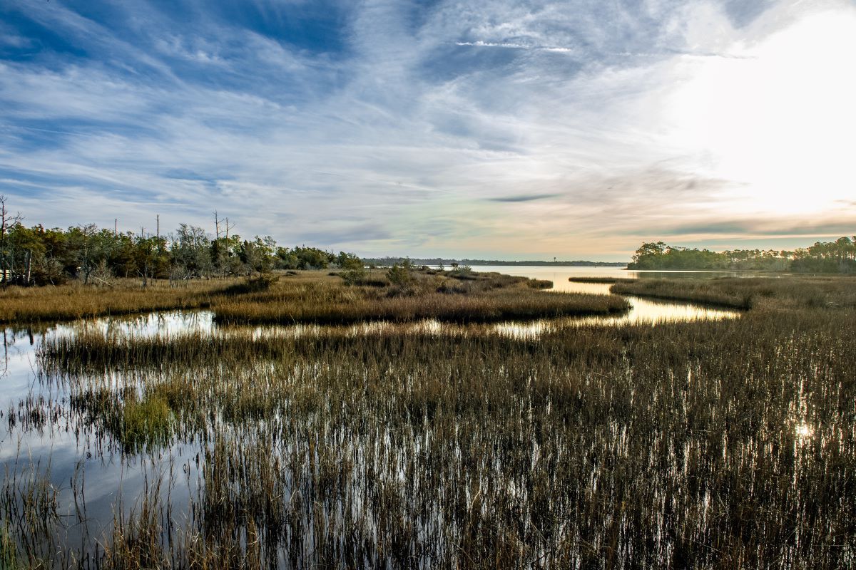 Secrets-Of-North-Carolina8217s-Cedar-Island-Marshes secrets-of-north-carolinas-cedar-island-marshes