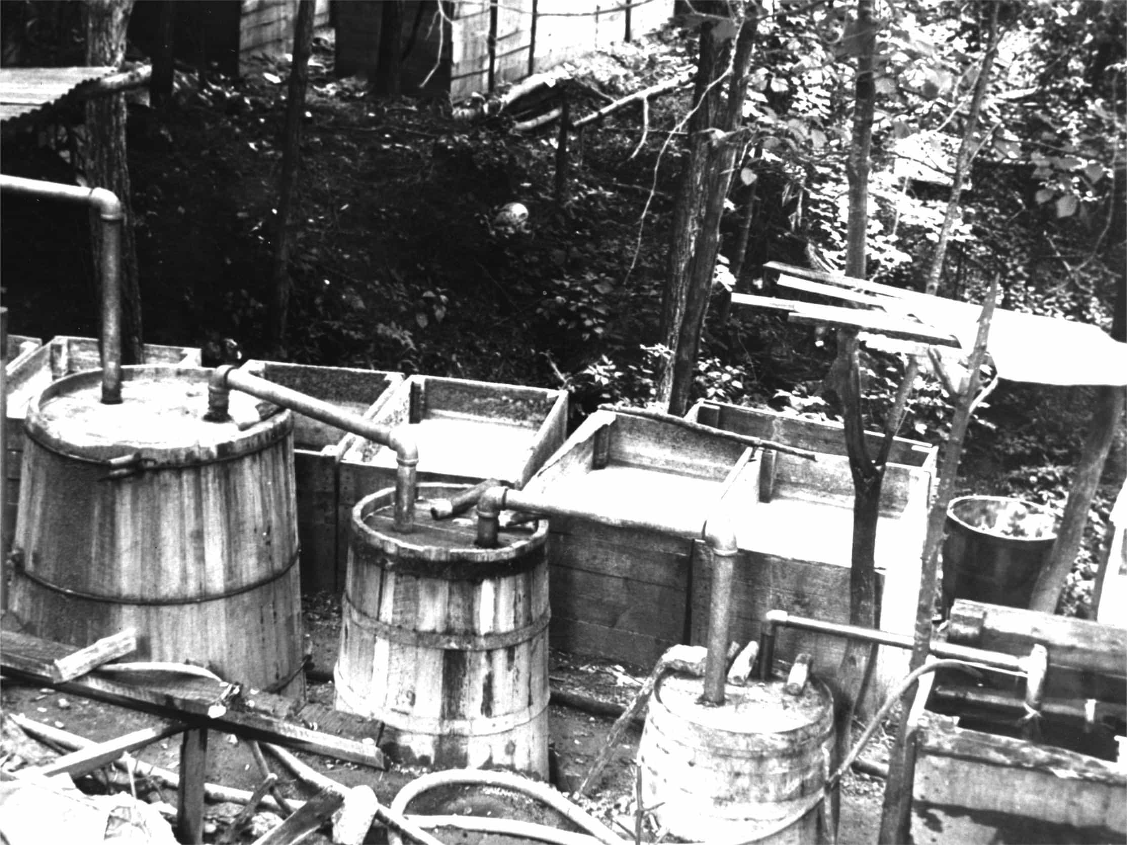 secrets-of-north-carolinas-moonshine-hollows