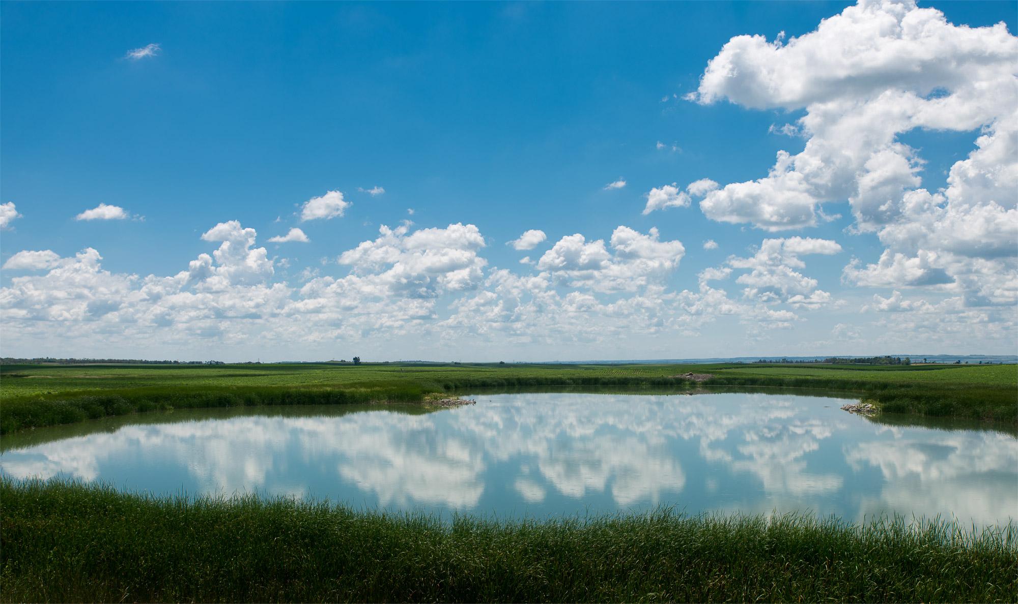 Secrets-Of-North-Dakota8217s-Flourishing-Prairie-Potholes secrets-of-north-dakotas-flourishing-prairie-potholes