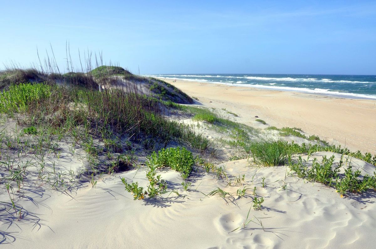 Secrets-Of-Ocracoke-Island8217s-Coastal-Marshes secrets-of-ocracoke-islands-coastal-marshes
