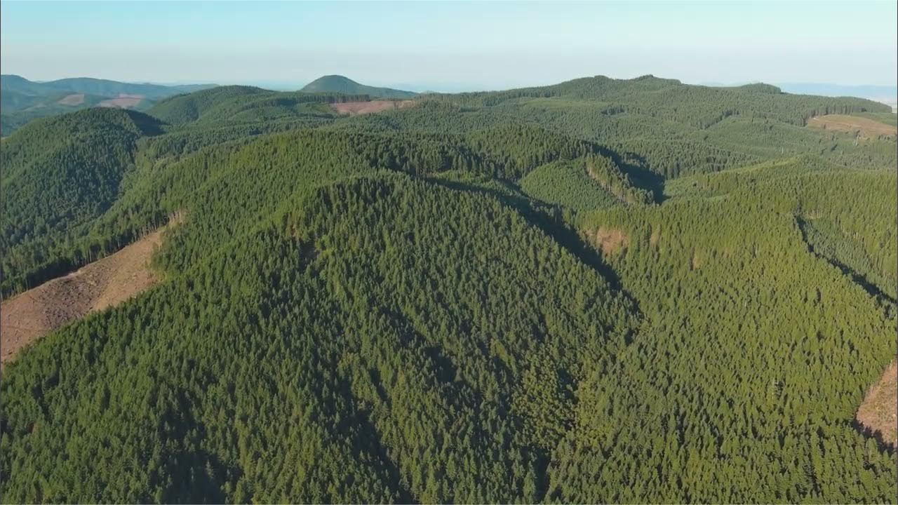 Secrets-Of-Oregon8217s-Coast-Range-Logging-Camps secrets-of-oregons-coast-range-logging-camps