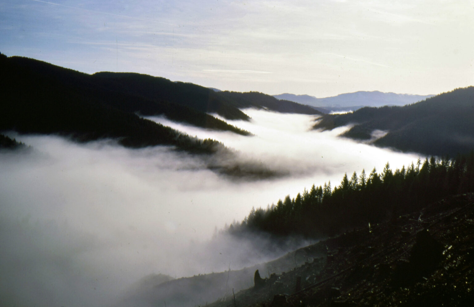 Secrets-Of-Oregon8217s-Misty-Mountain-Valleys secrets-of-oregons-misty-mountain-valleys
