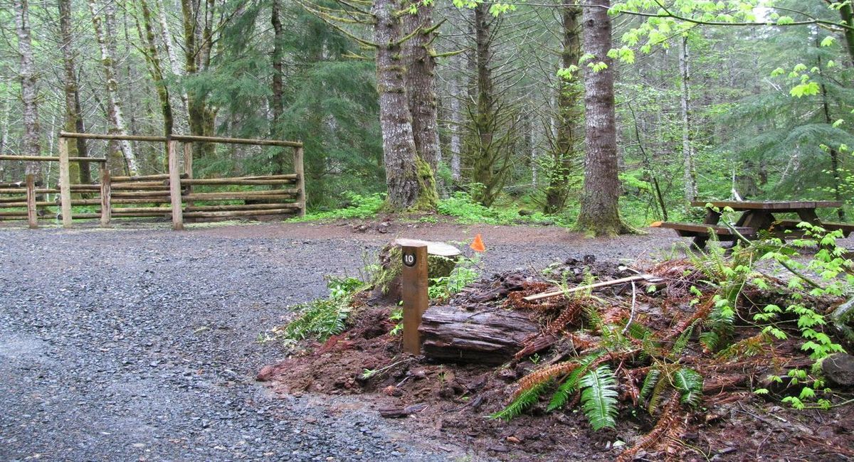 Secrets-Of-Oregon8217s-Tillamook-Forest-Logging-Camps secrets-of-oregons-tillamook-forest-logging-camps