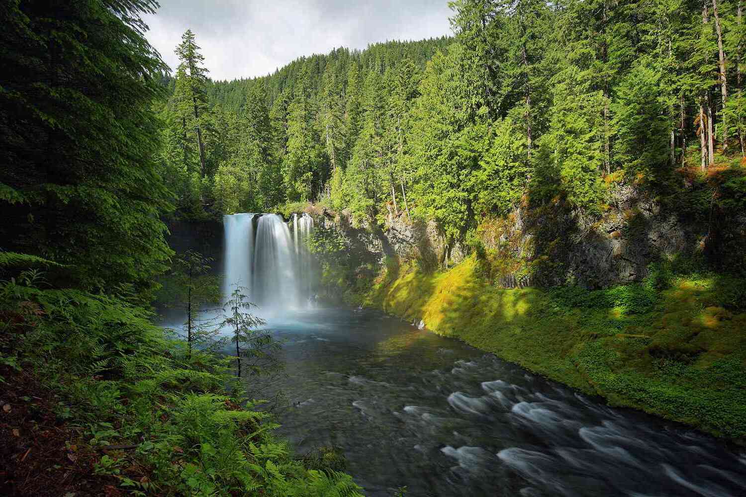 Secrets-Of-Oregon8217s-Willamette-National-Forest-Hot-Springs secrets-of-oregons-willamette-national-forest-hot-springs