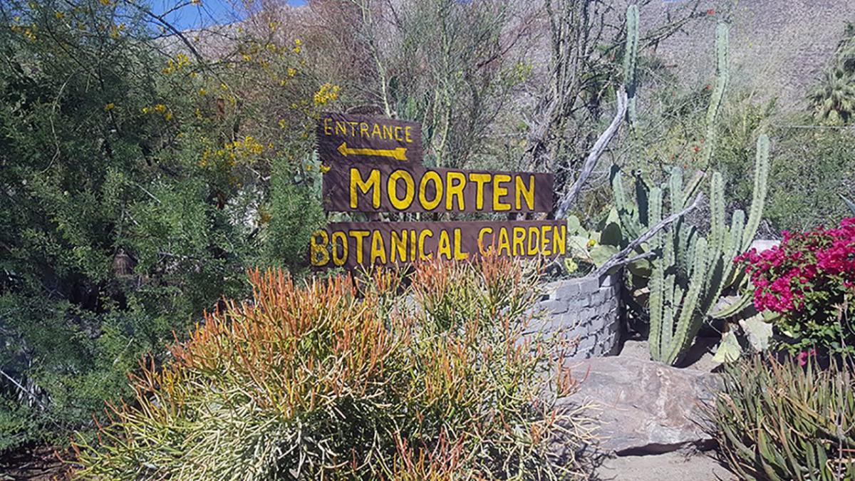 Secrets-Of-Palm-Springs8217-Desert-Botanical-Gardens secrets-of-palm-springs-desert-botanical-gardens