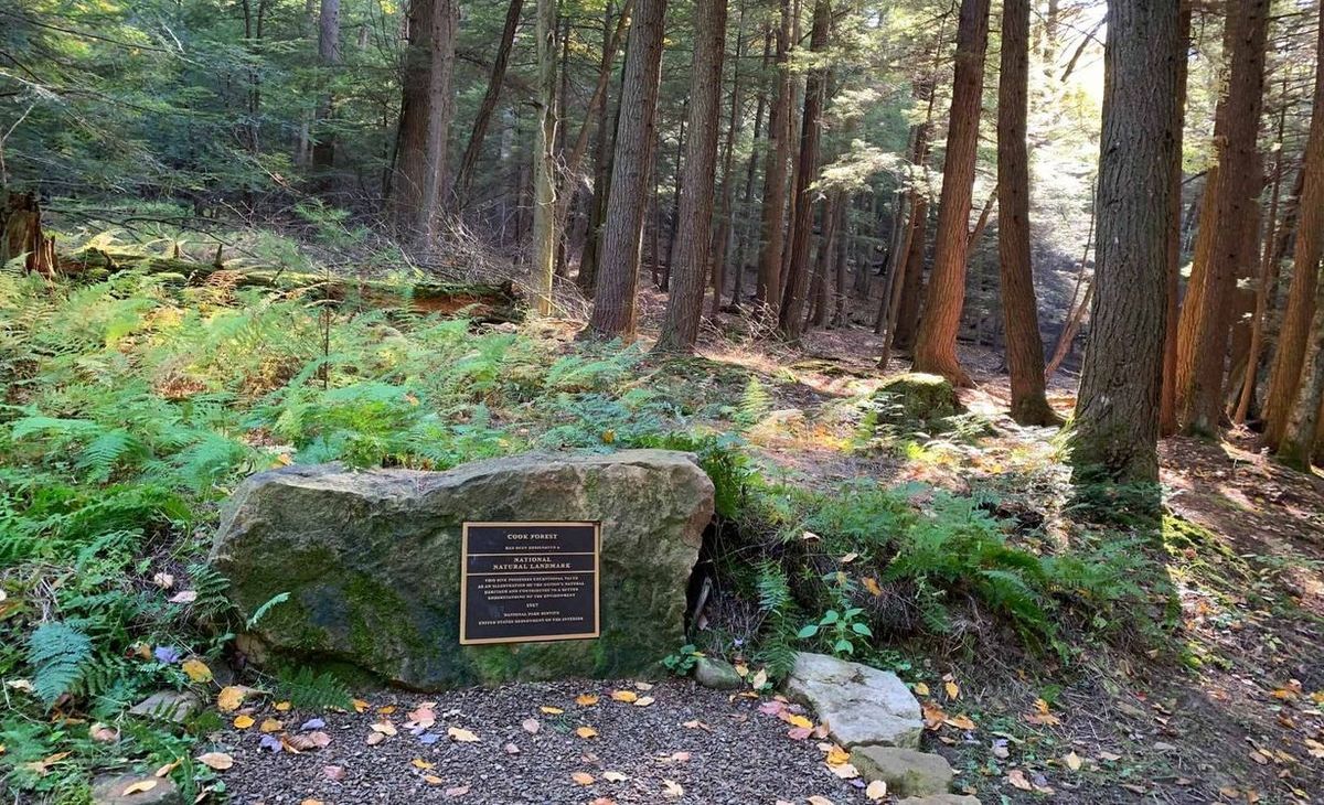 Secrets-Of-Pennsylvania8217s-Cook-Forest-Glens secrets-of-pennsylvanias-cook-forest-glens