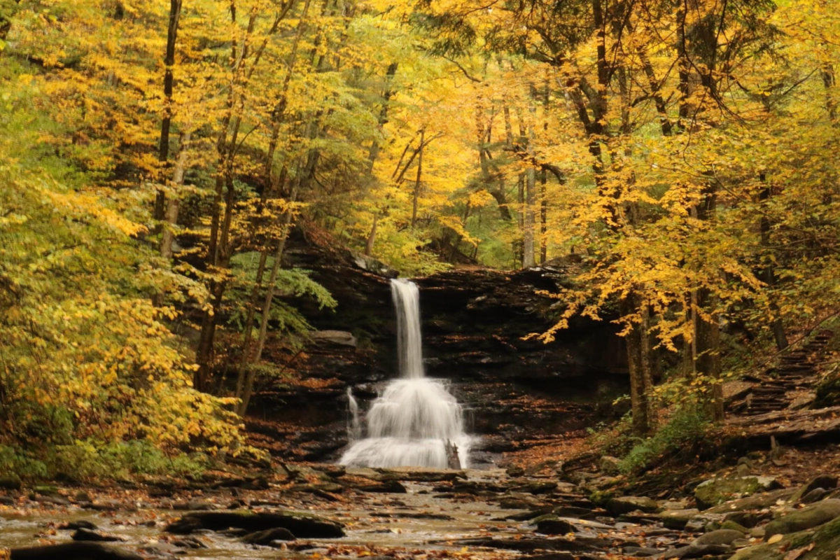 Secrets-Of-Pennsylvania8217s-Ricketts-Glen-Gorges secrets-of-pennsylvanias-ricketts-glen-gorges
