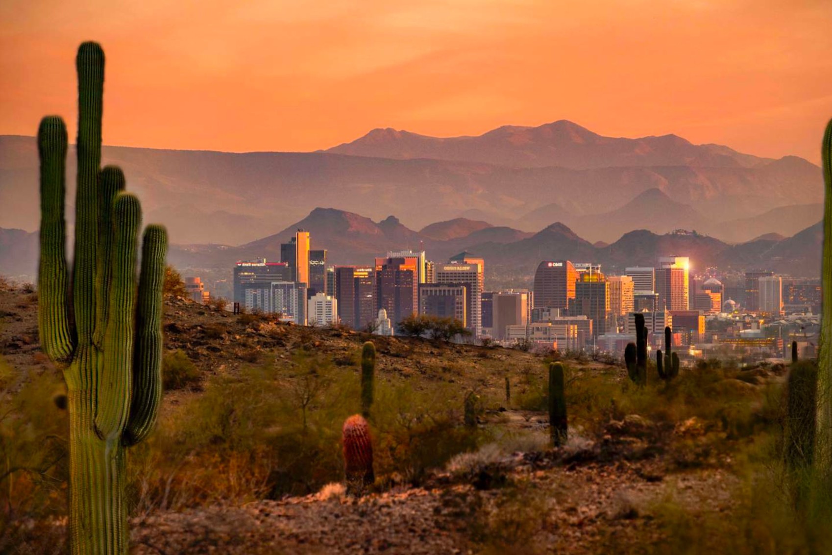 Secrets-Of-Phoenix8217s-Community-Seed-Saving-Libraries secrets-of-phoenixs-community-seed-saving-libraries