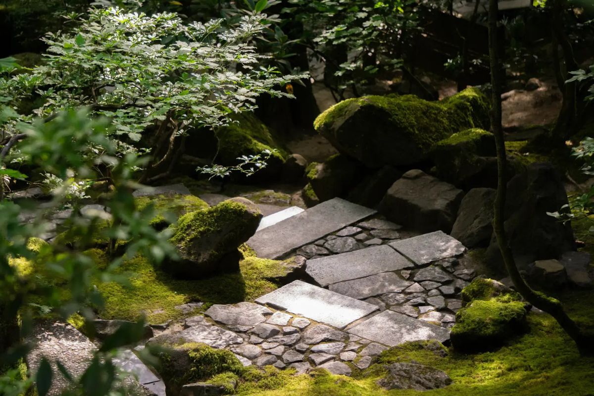 secrets-of-portlands-japanese-garden-moss-gardens