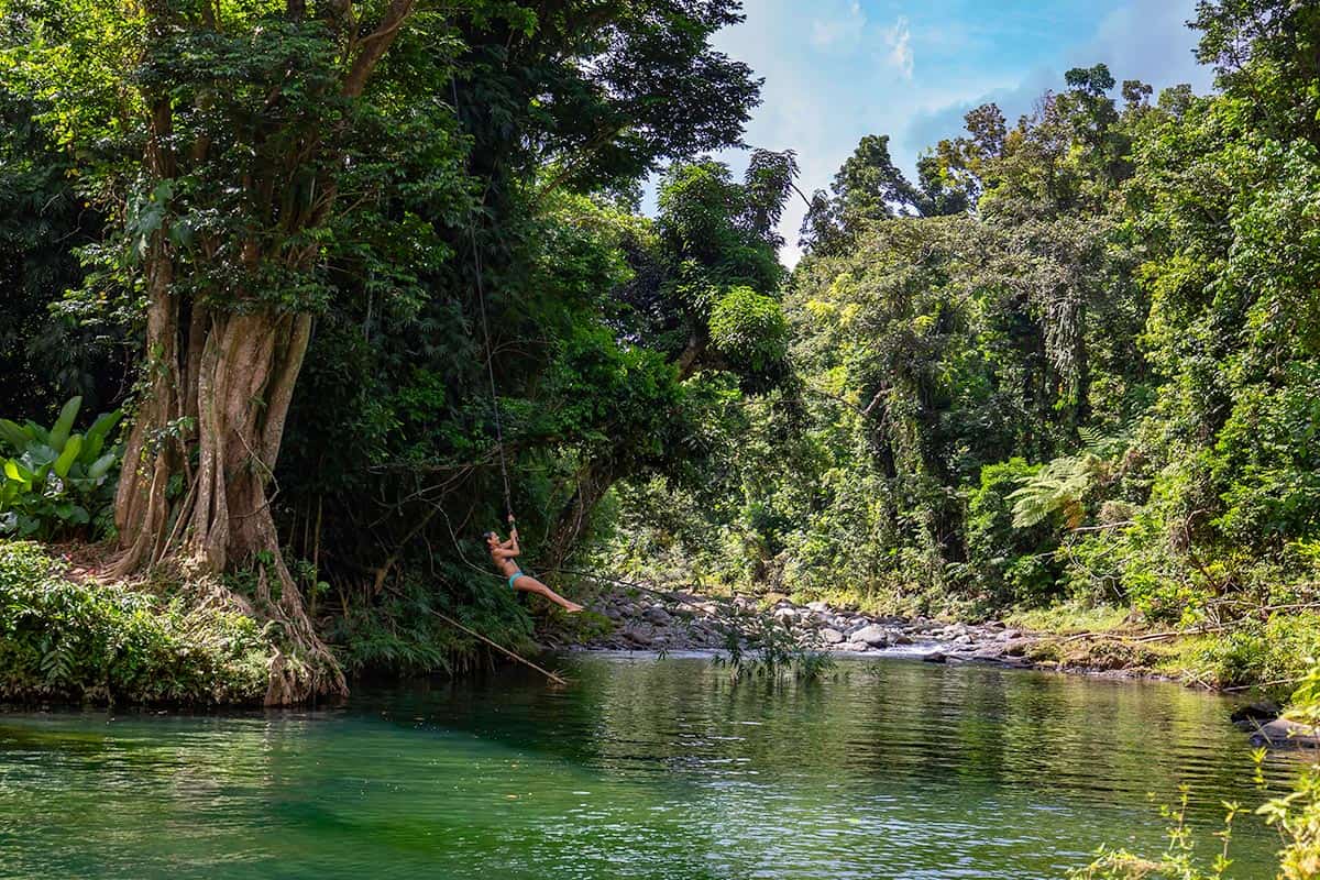 Secrets-Of-Puerto-Rico8217s-Floating-Rainforest-Canopies secrets-of-puerto-ricos-floating-rainforest-canopies