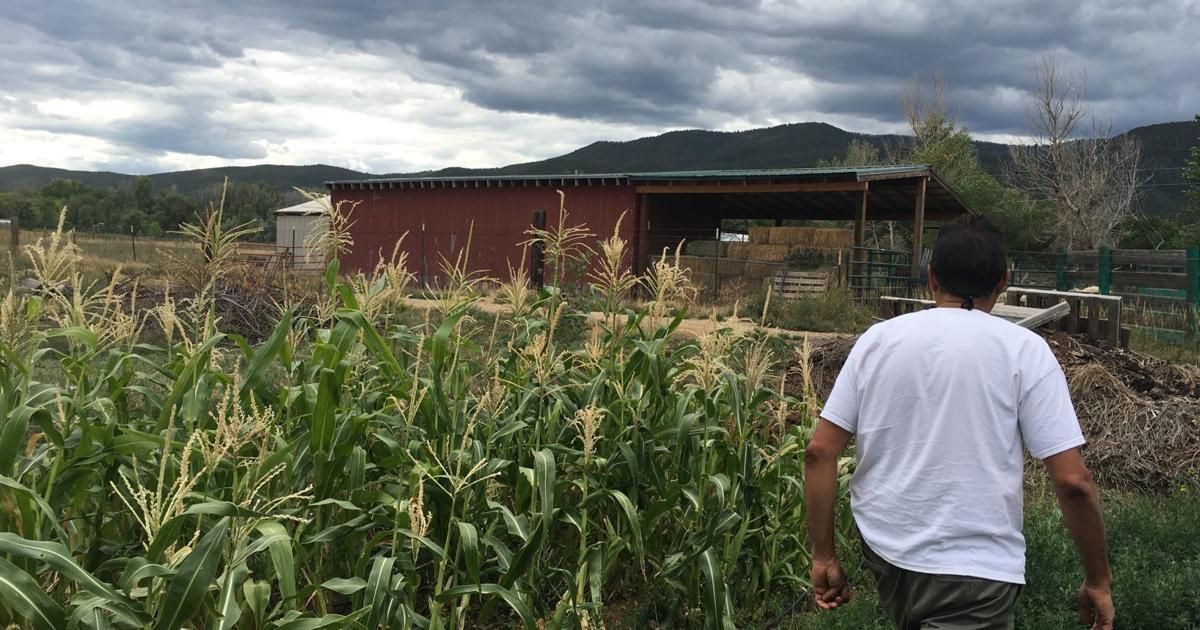 Secrets-Of-Seed-Saving-At-Santa-Ana-Pueblo secrets-of-seed-saving-at-santa-ana-pueblo