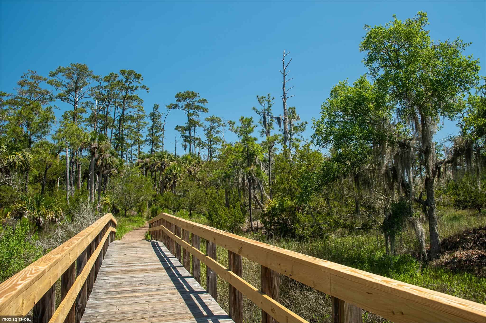 secrets-of-skidaway-islands-hidden-river-islands