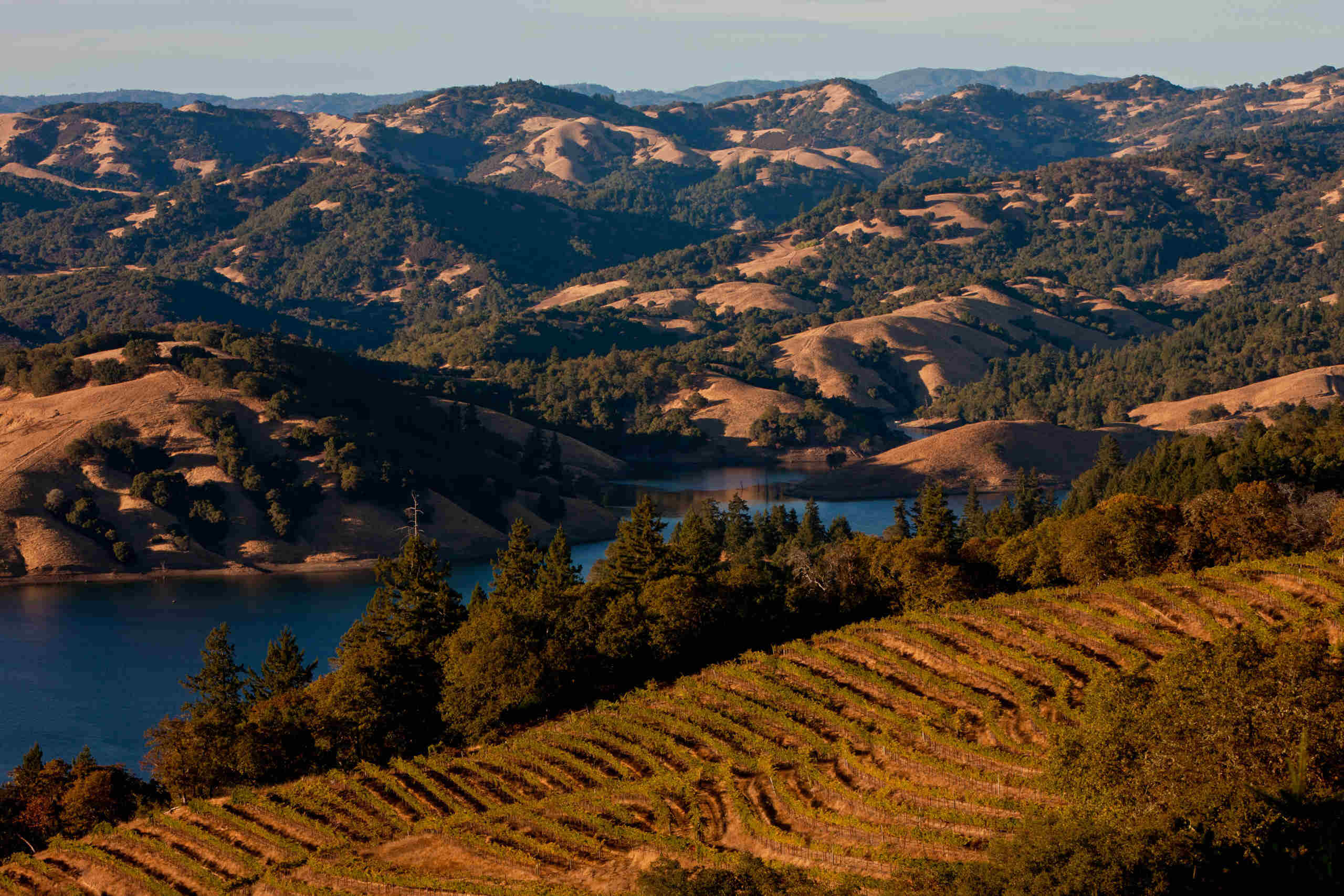 secrets-of-sonomas-hidden-valley-vineyards