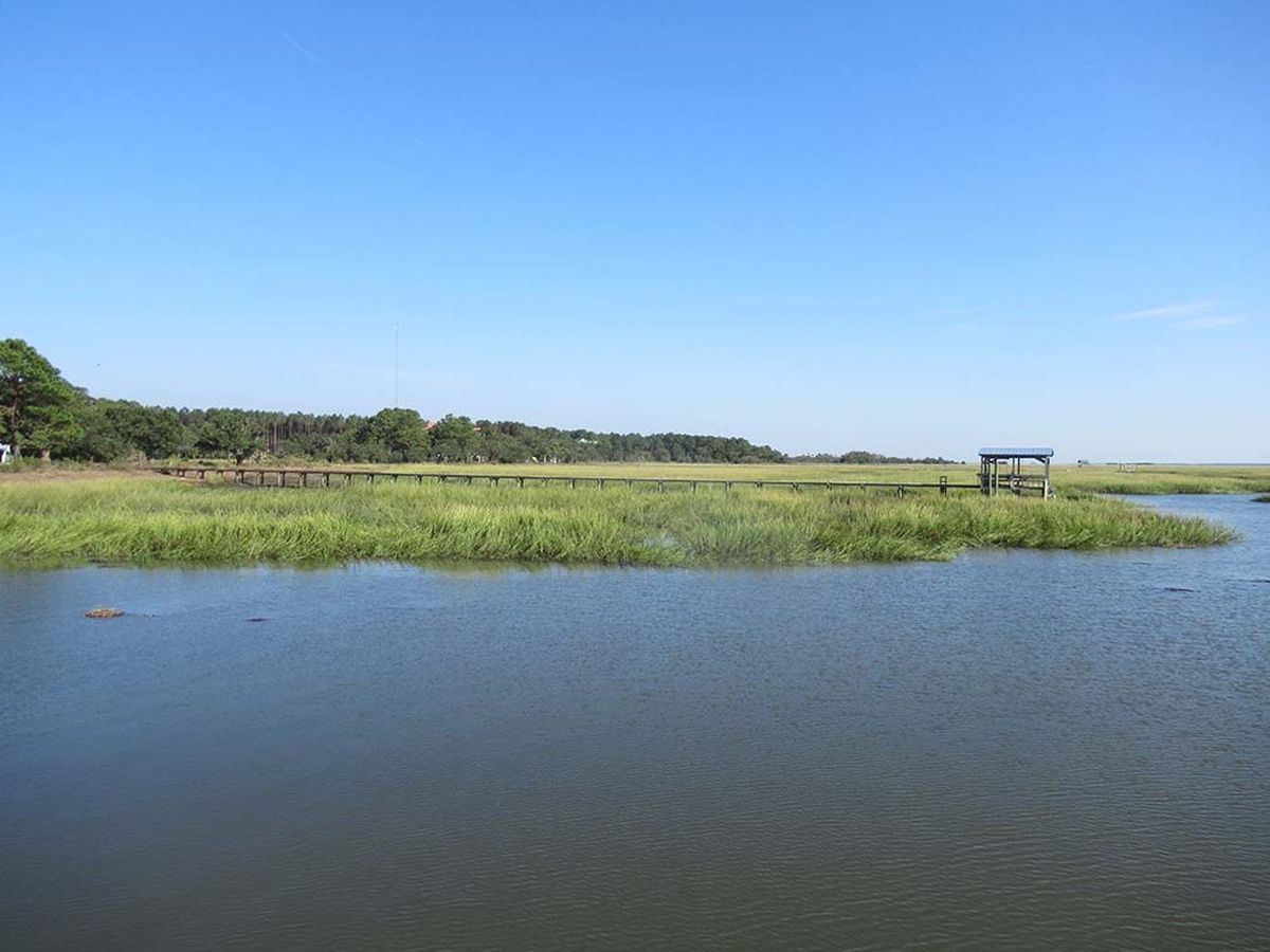 secrets-of-south-carolinas-bulls-island-marshes