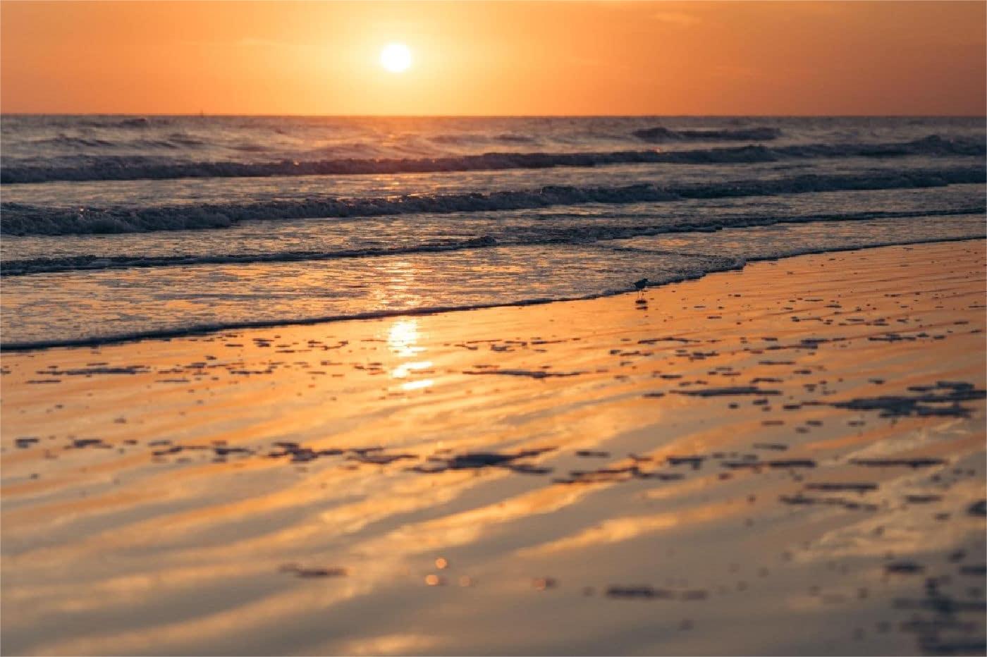 Secrets-Of-South-Carolina8217s-Coastal-Lagoons secrets-of-south-carolinas-coastal-lagoons