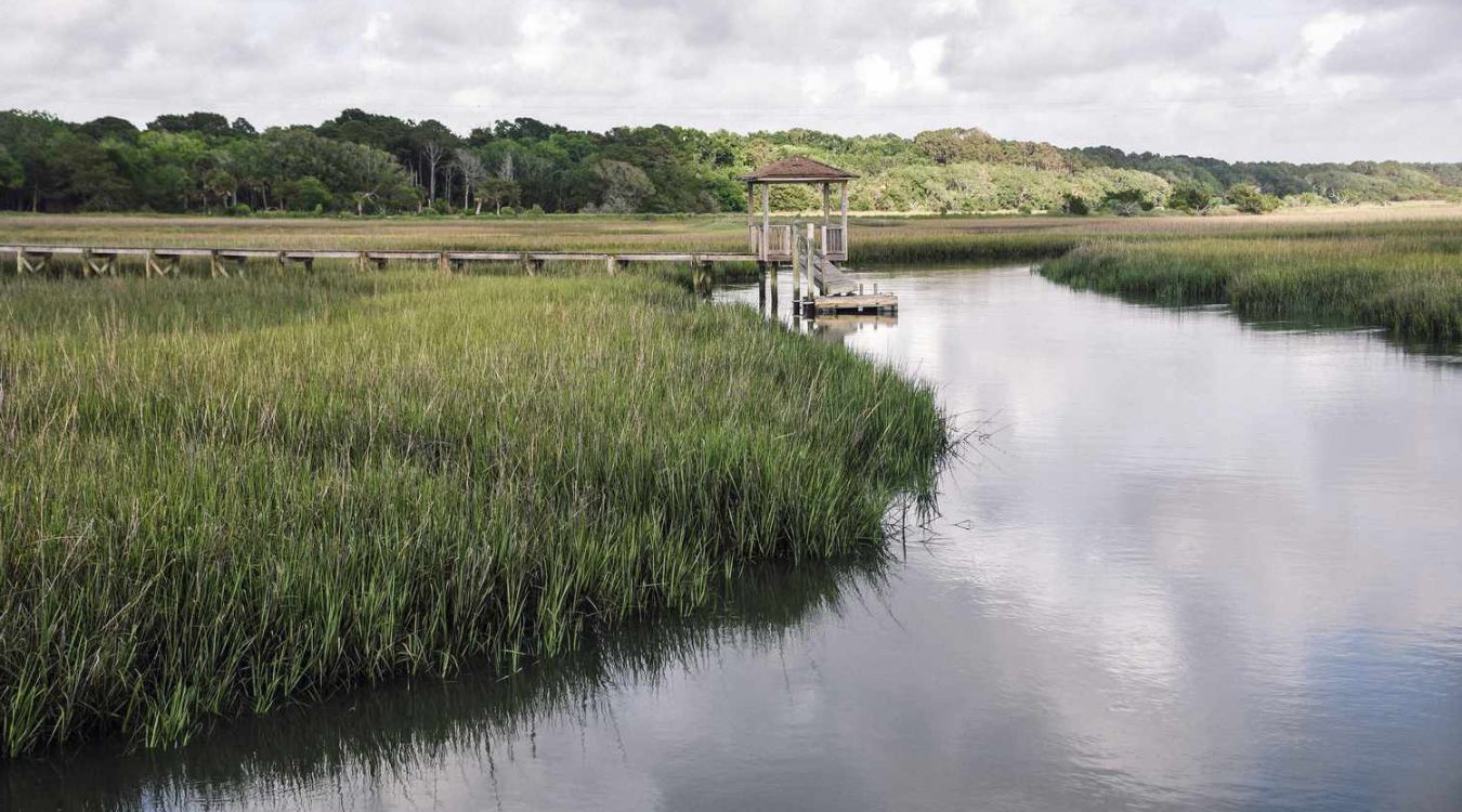 Secrets-Of-South-Carolina8217s-Edisto-Marshes secrets-of-south-carolinas-edisto-marshes
