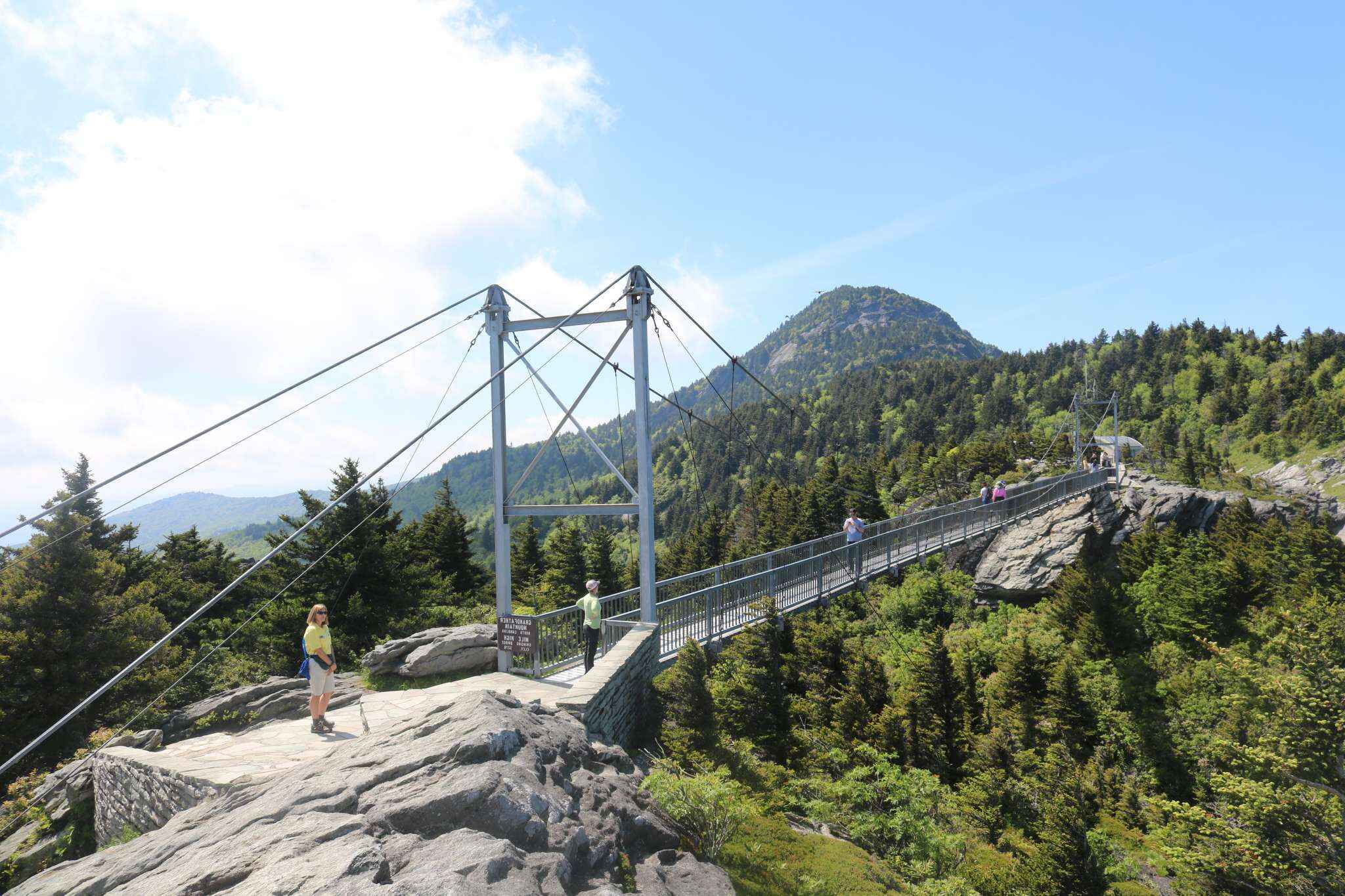 Secrets-Of-South-Carolina8217s-Mountain-Bridge-Bogs secrets-of-south-carolinas-mountain-bridge-bogs