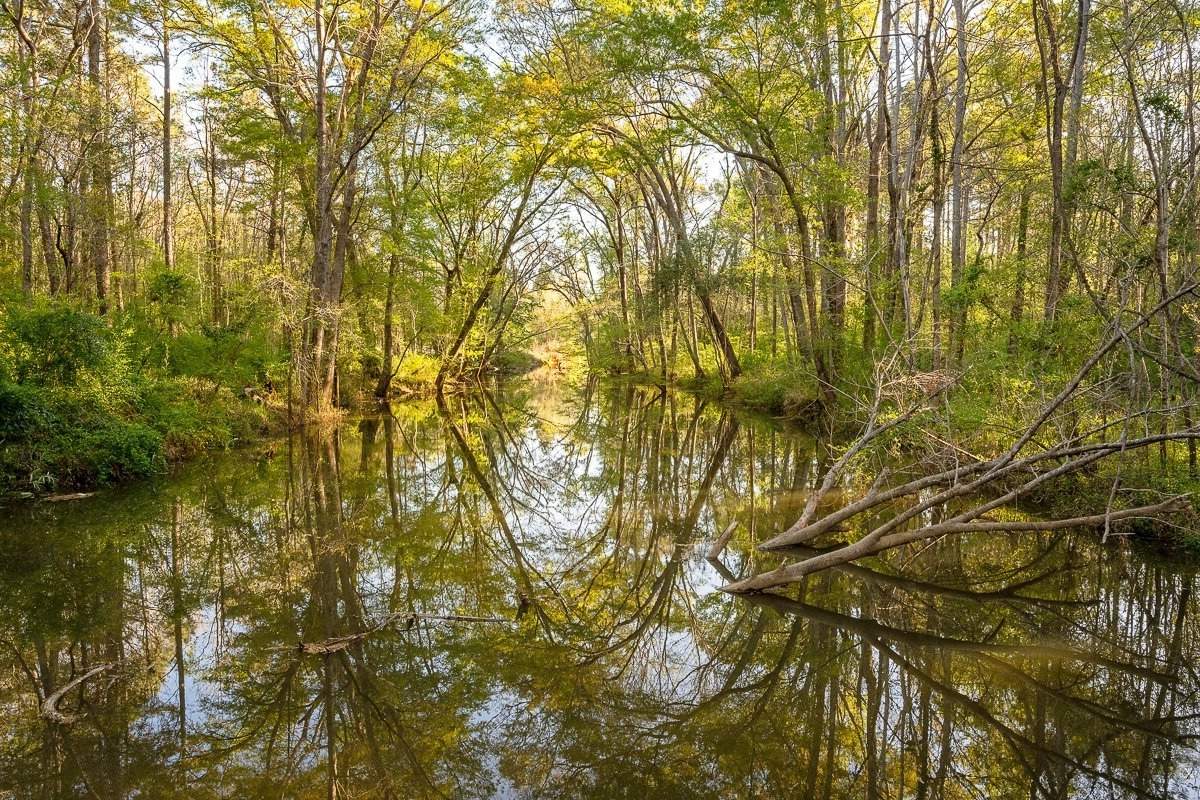 secrets-of-south-carolinas-saluda-river-shoals