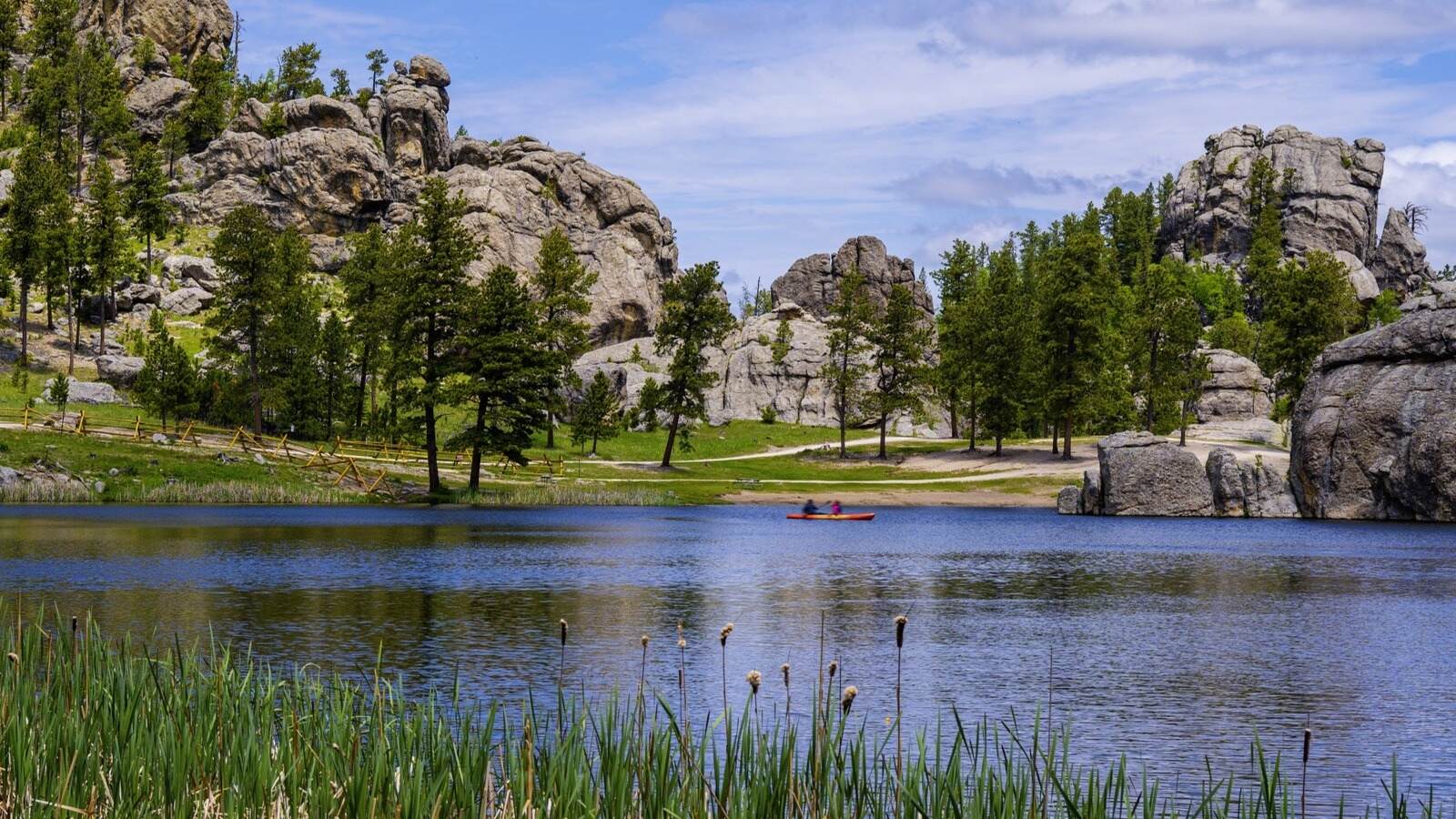 Secrets-Of-South-Dakota8217s-Black-Hills-Pine-Groves secrets-of-south-dakotas-black-hills-pine-groves