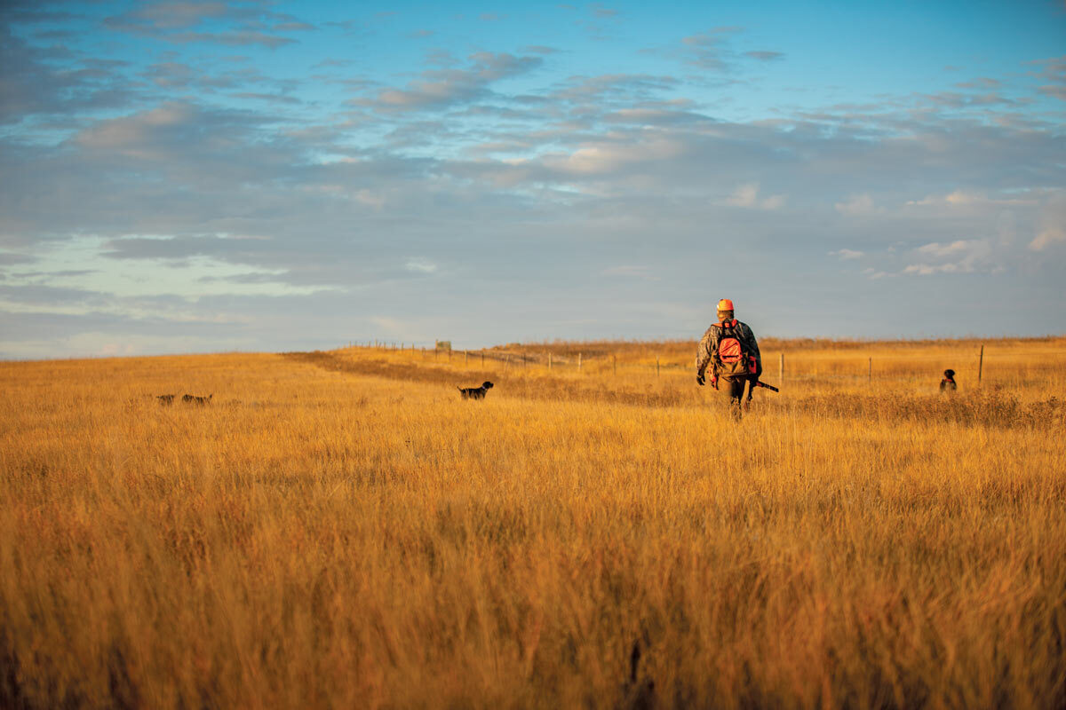secrets-of-south-dakotas-fort-pierre-prairie-draws