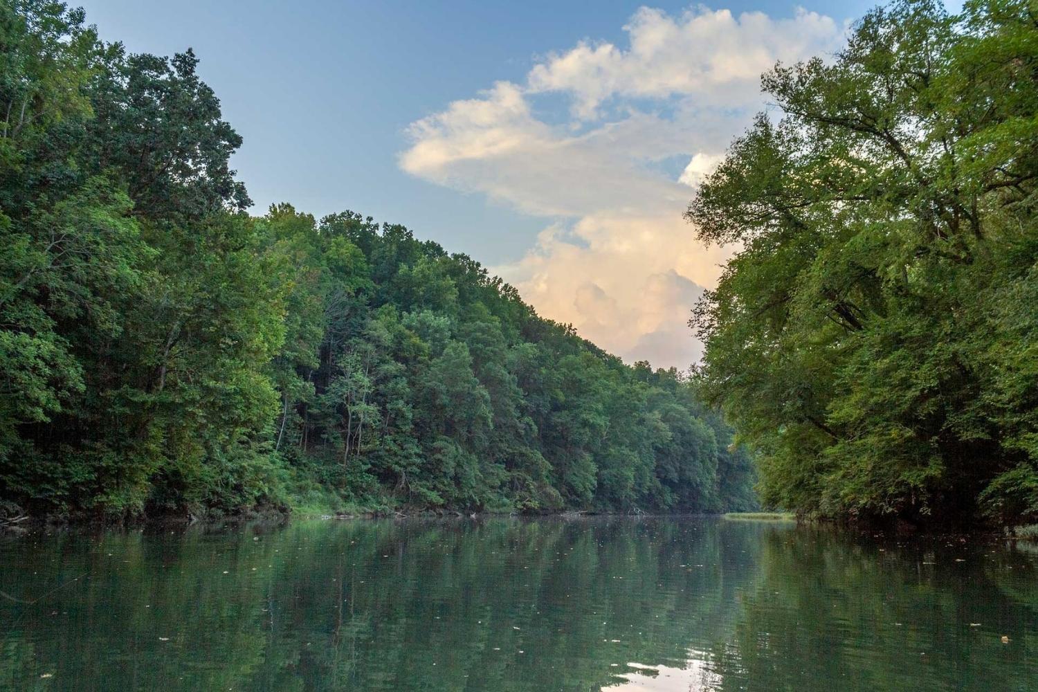 secrets-of-tennessees-collins-river-bends