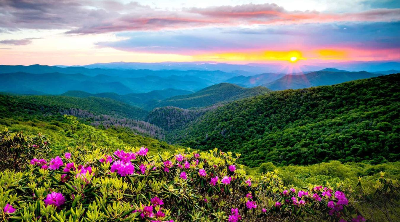 Secrets-Of-Tennessee8217s-Smoky-Mountain-Springs secrets-of-tennessees-smoky-mountain-springs