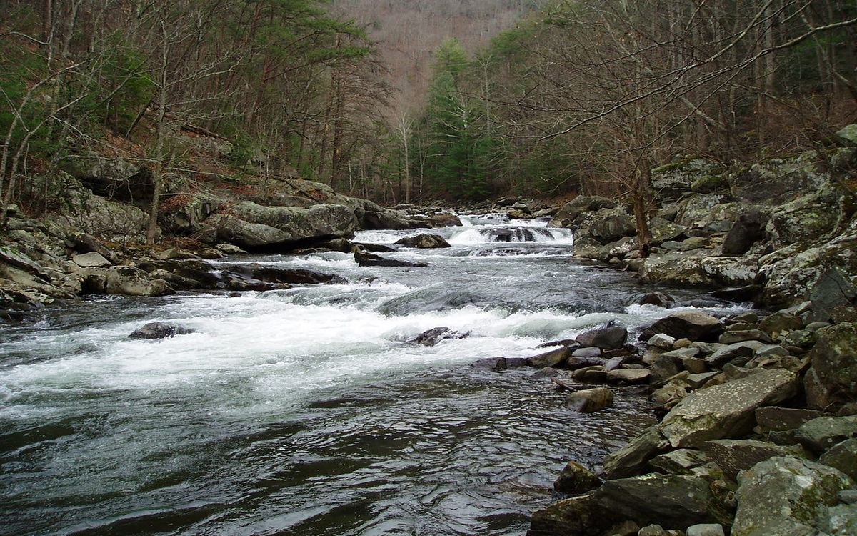secrets-of-tennessees-tellico-river-bends