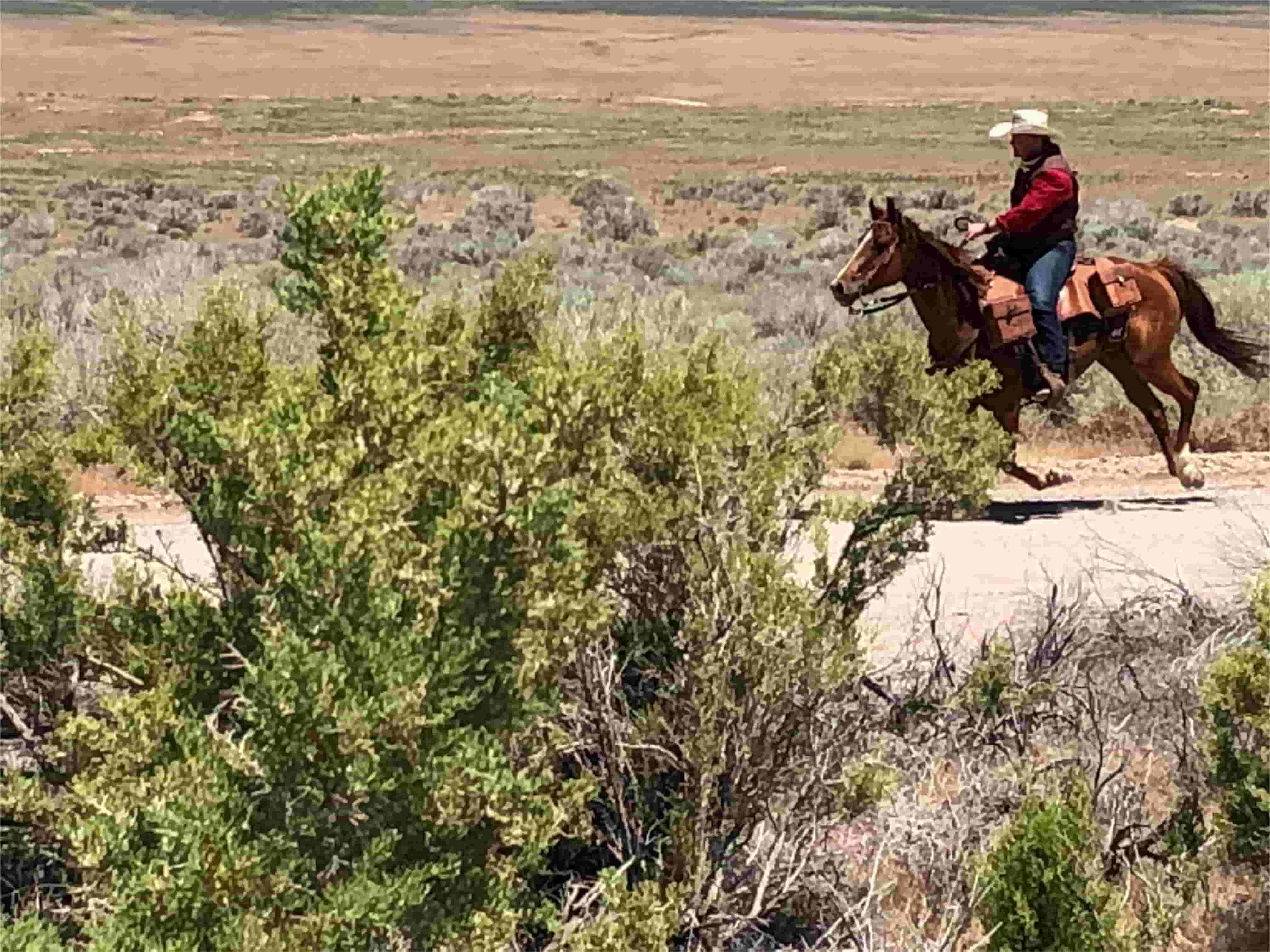 Secrets-Of-Utah8217s-Pony-Express-Trading-Routes secrets-of-utahs-pony-express-trading-routes