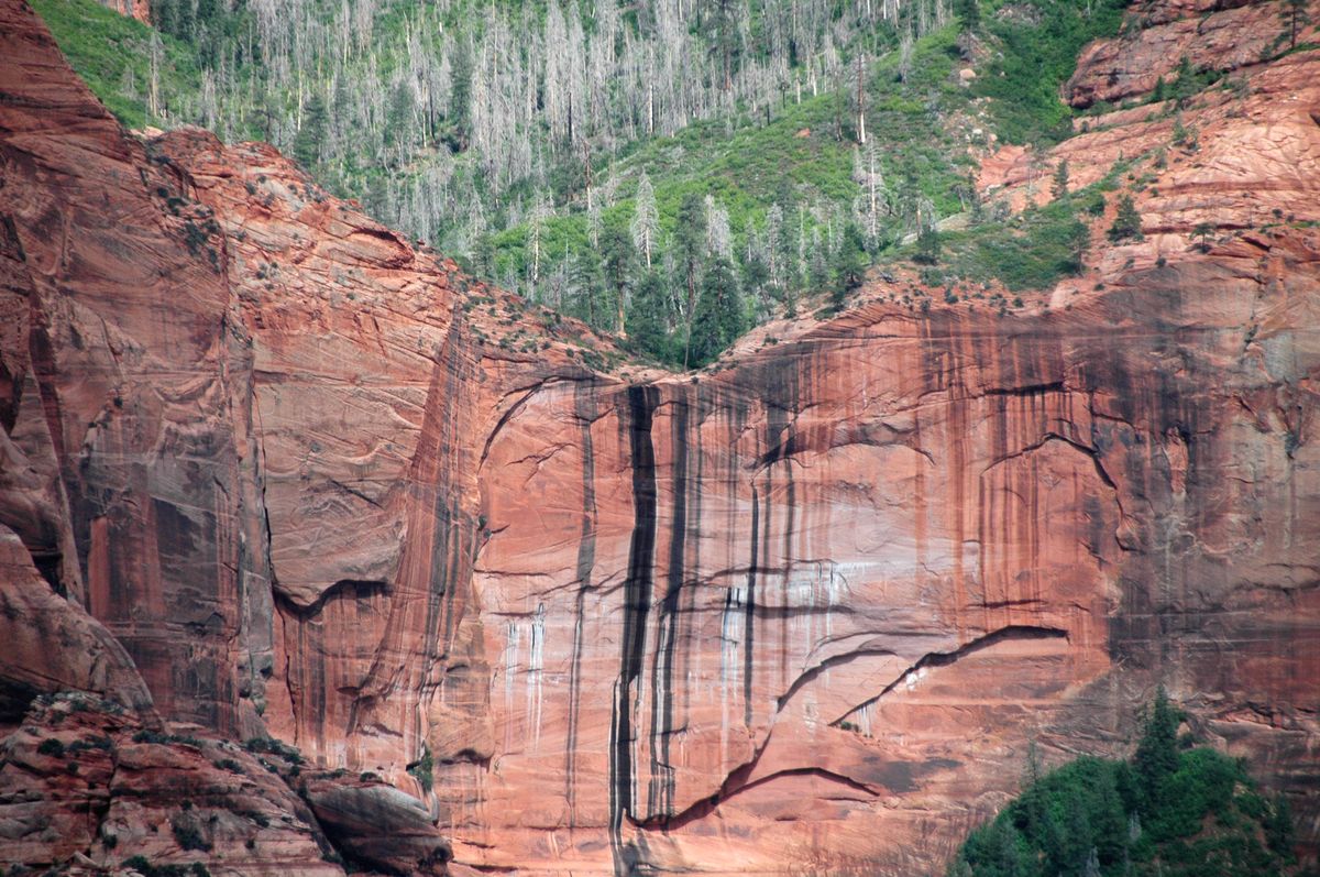 secrets-of-utahs-zion-national-park-hanging-gardens