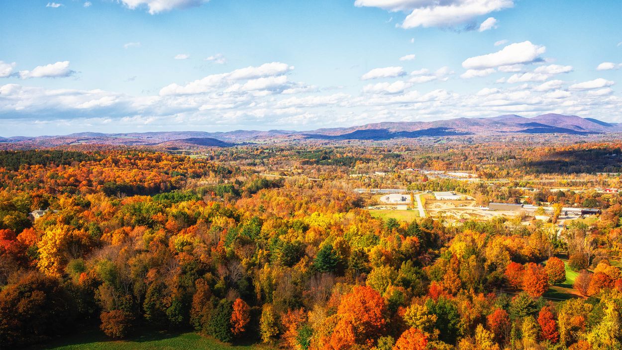 Secrets-Of-Vermont8217s-Glowing-Autumn-Forests secrets-of-vermonts-glowing-autumn-forests