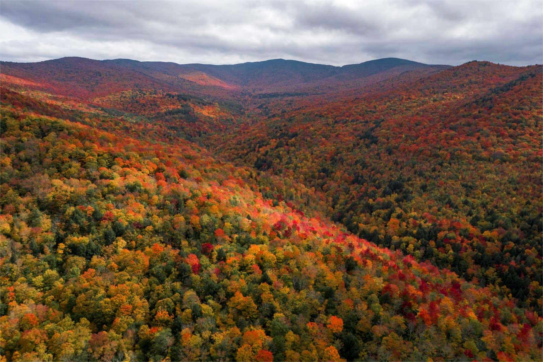 Secrets Of Vermont s Green Mountain National Forest Forestry 